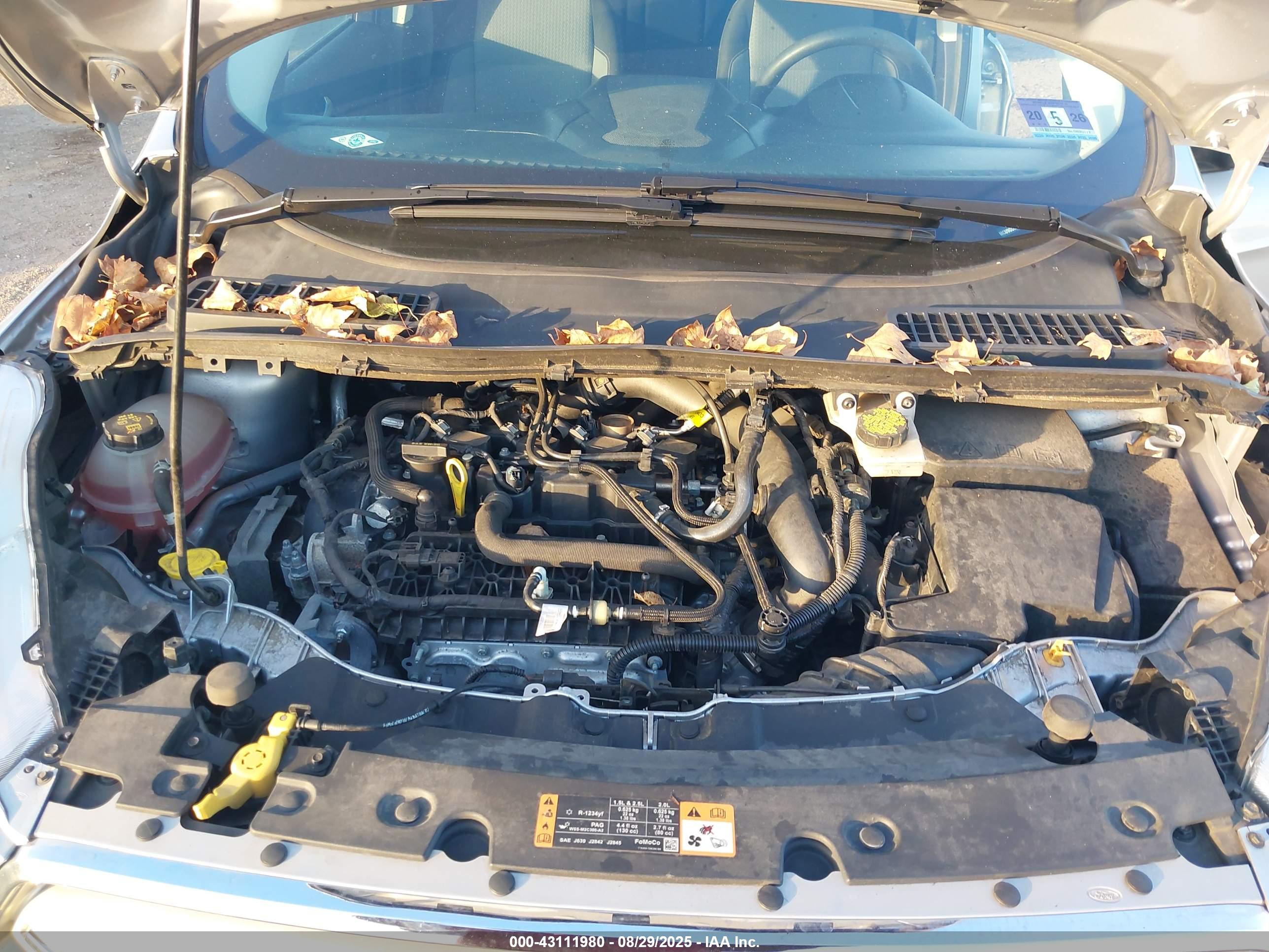 FORD ESCAPE image 10