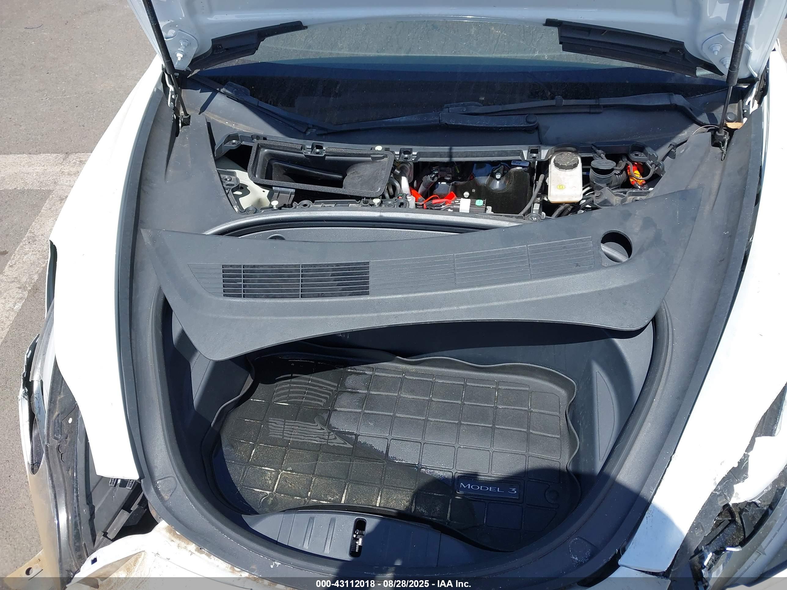 TESLA MODEL image 10