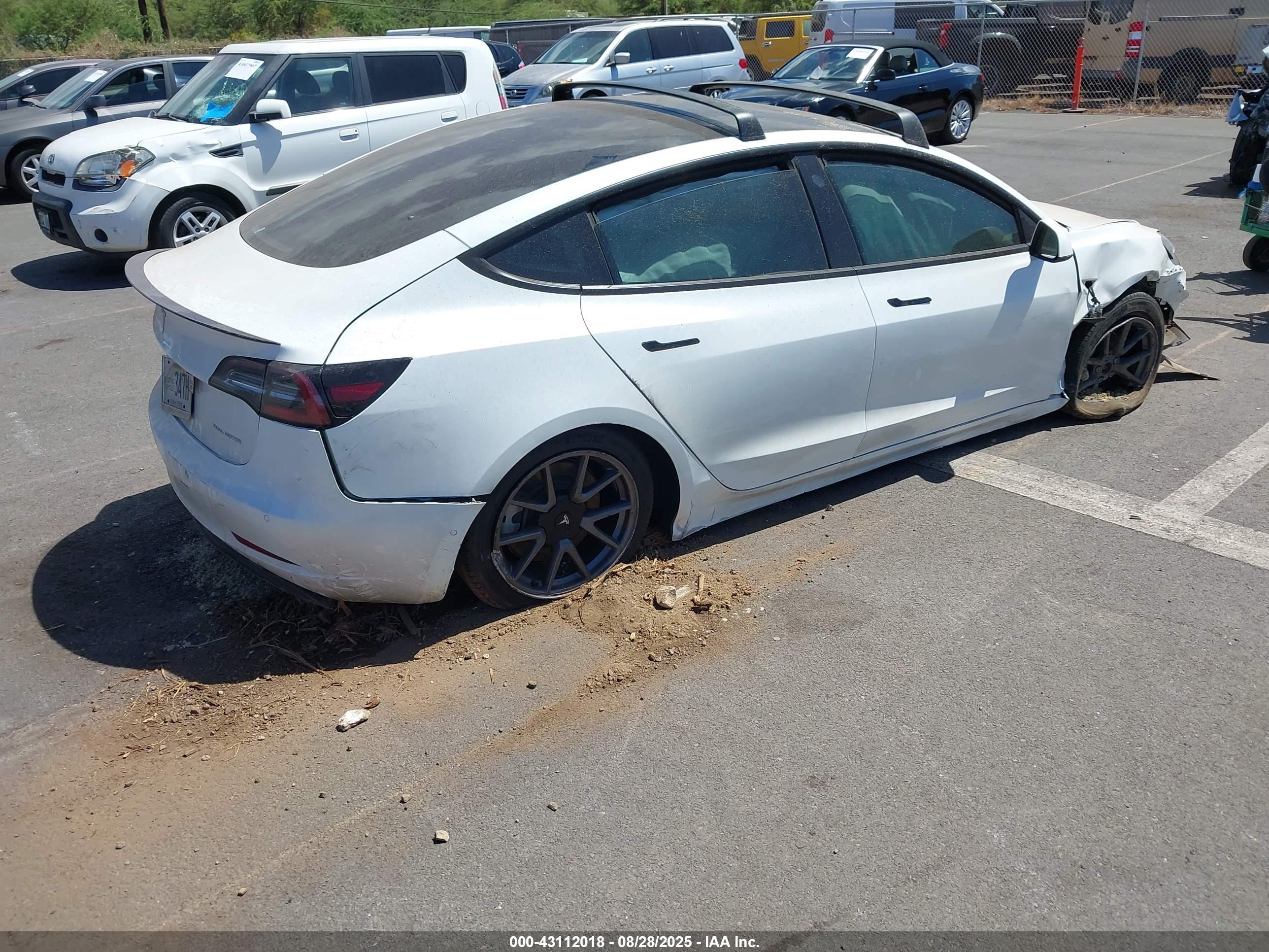 TESLA MODEL image 4