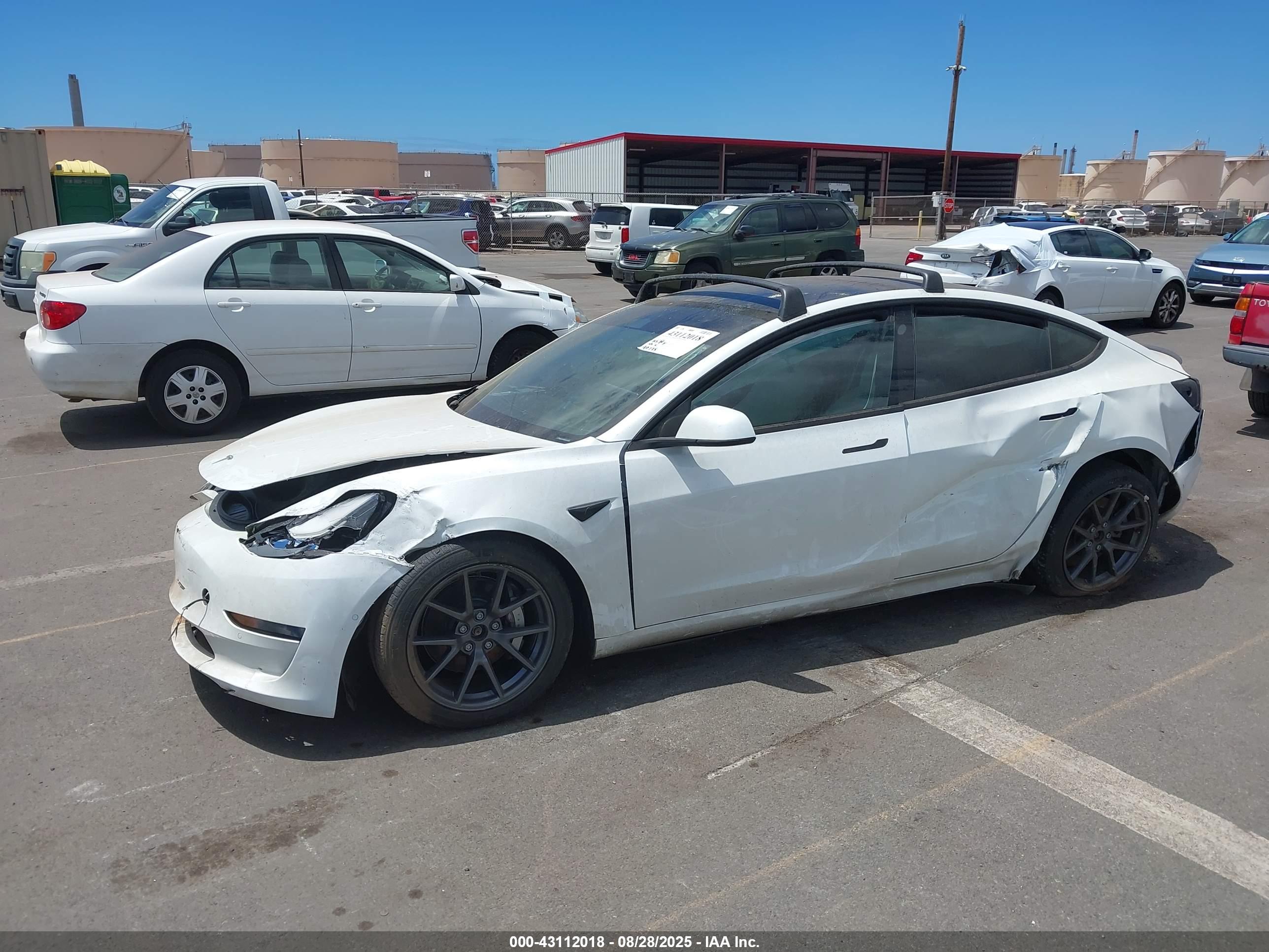 TESLA MODEL image 6