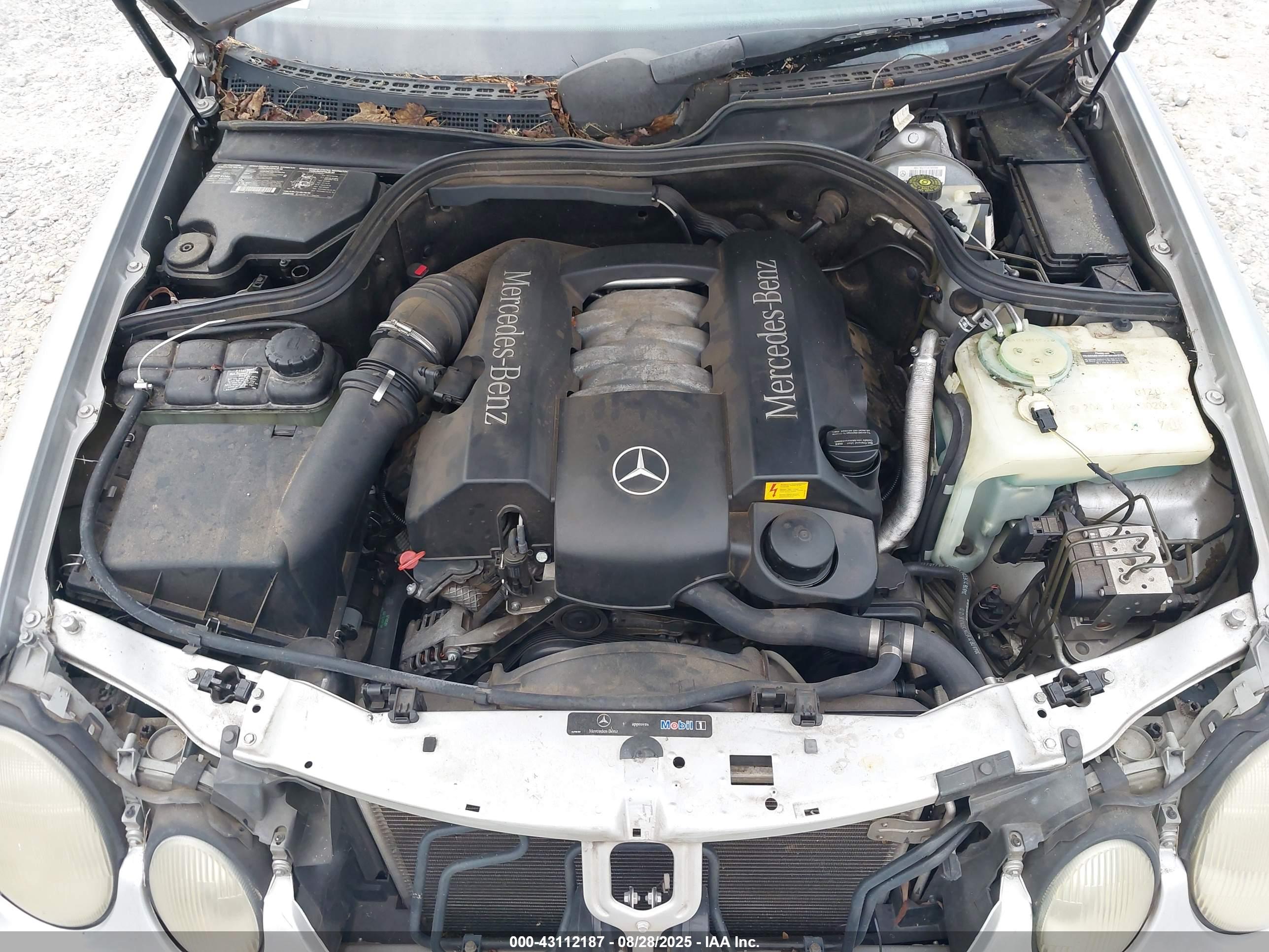 MERCEDES-BENZ CLK image 10