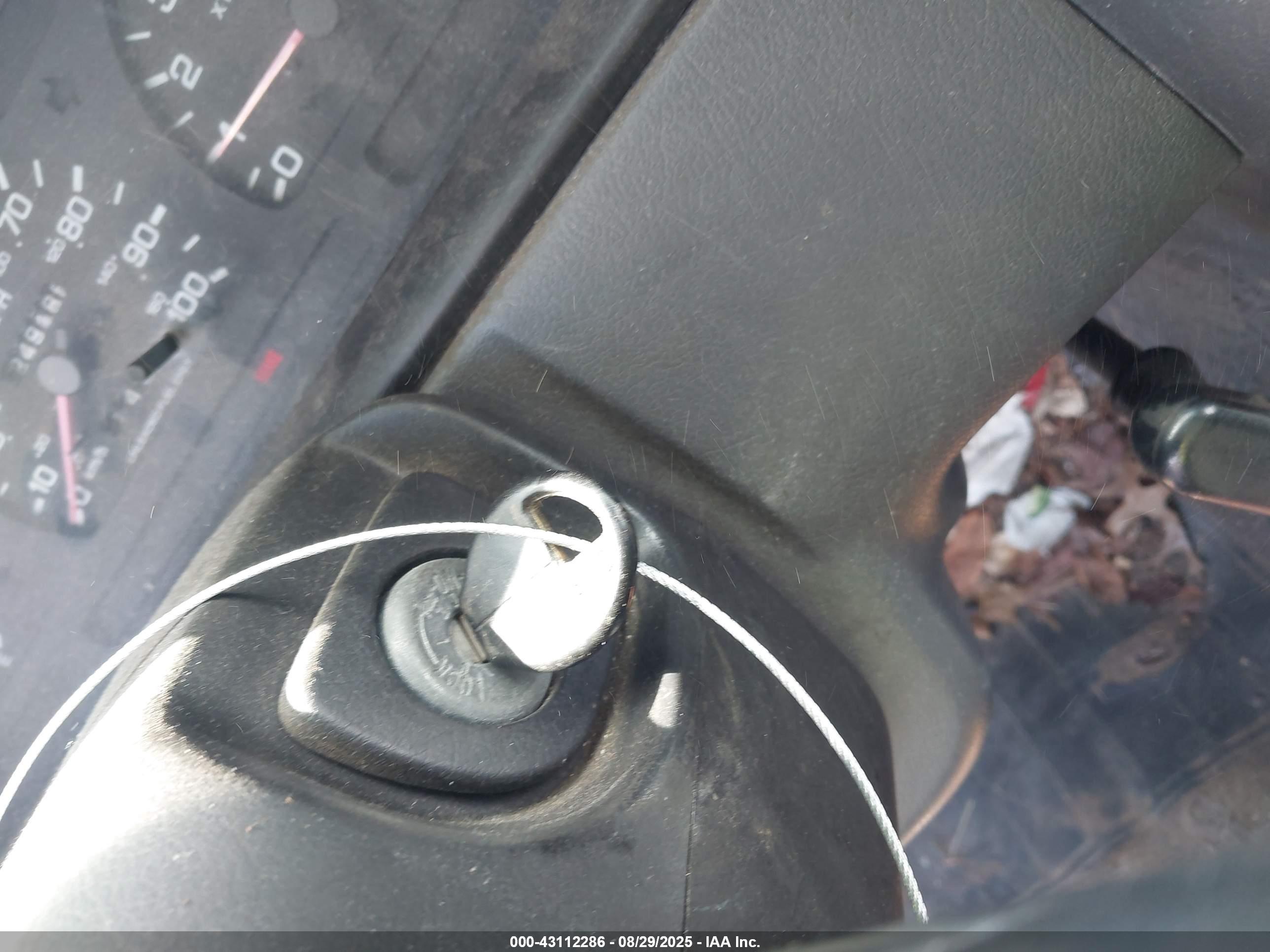 NISSAN TRUCK image 11