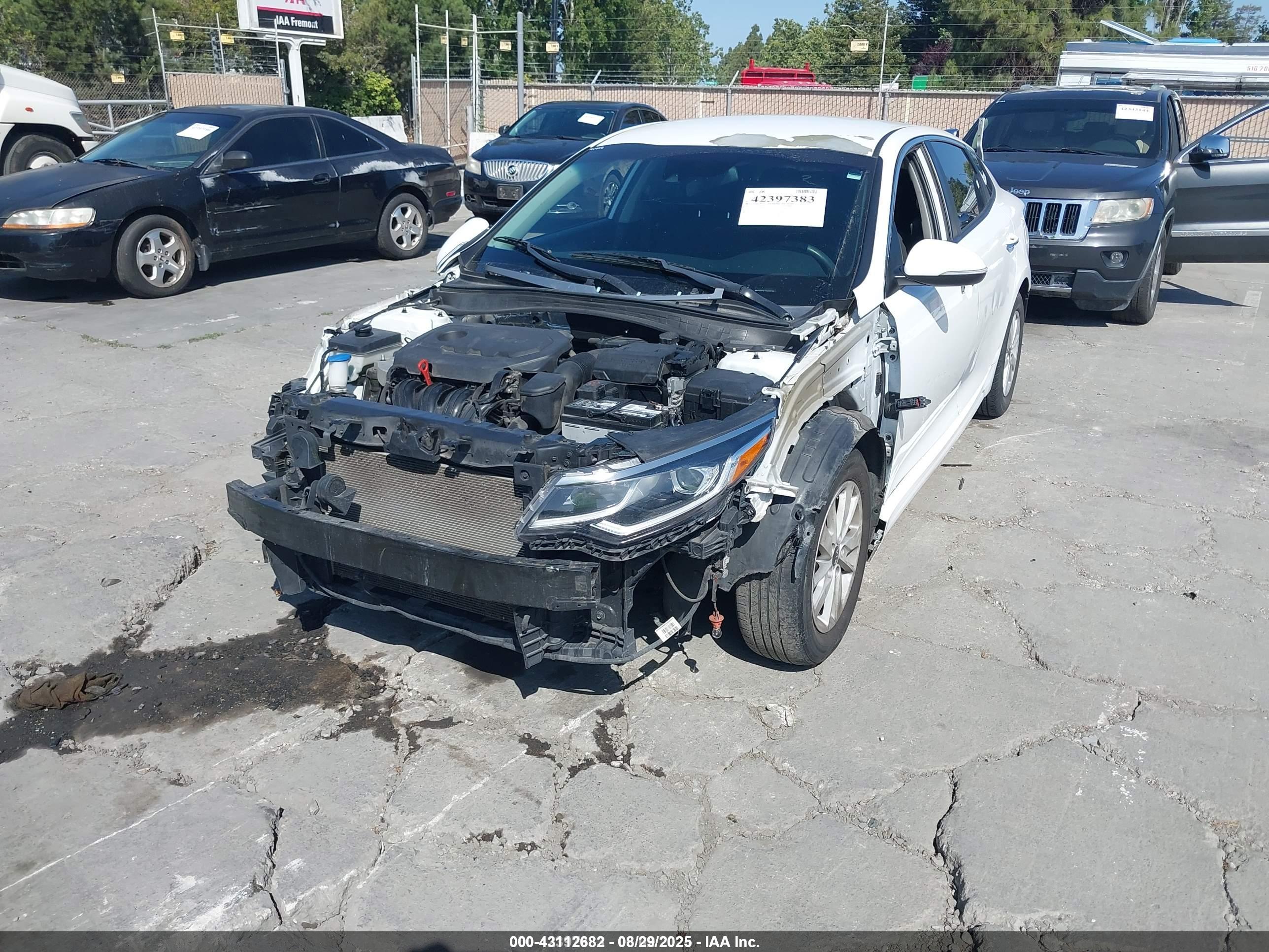 KIA OPTIMA image 6