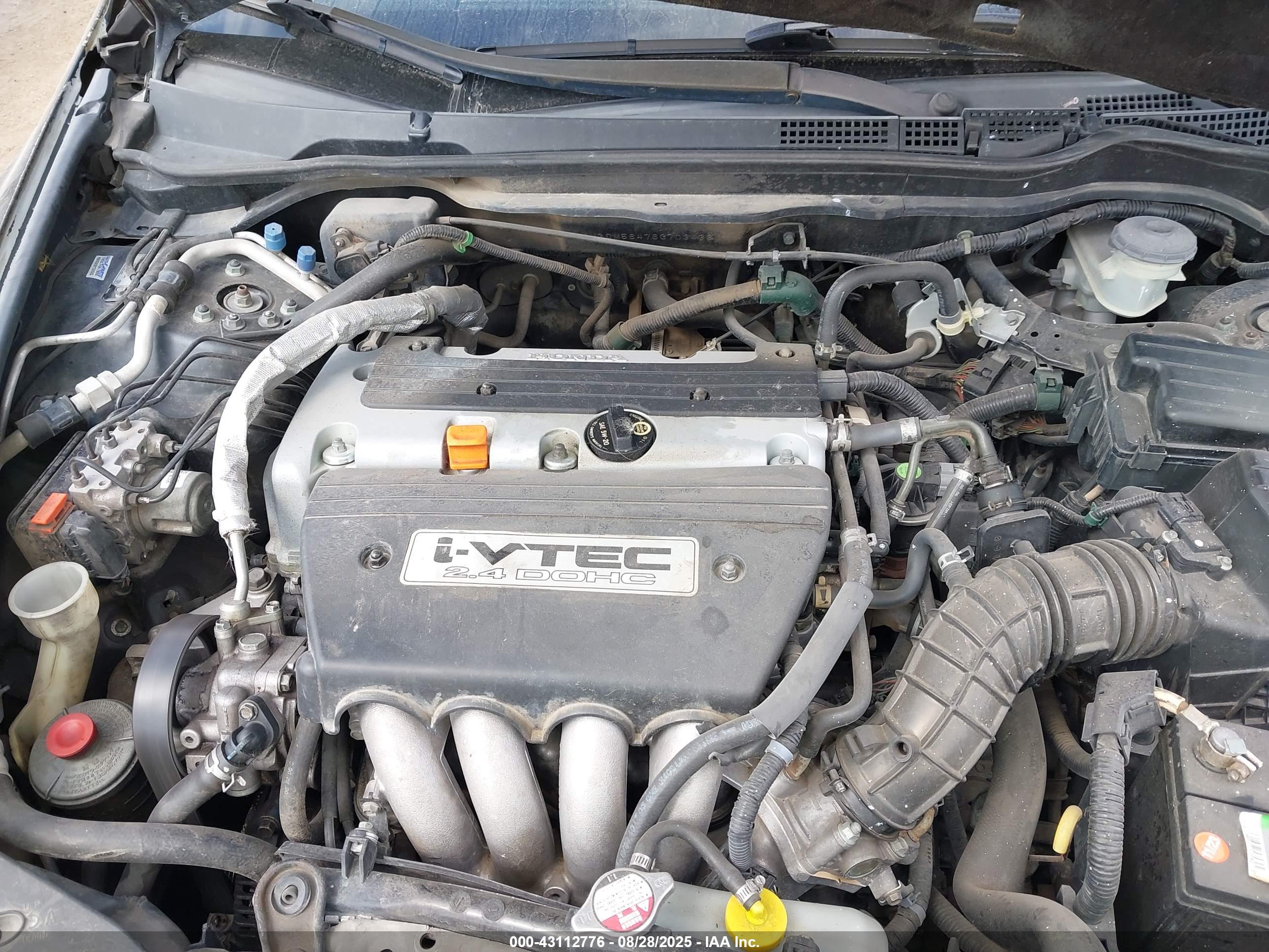 HONDA ACCORD image 10