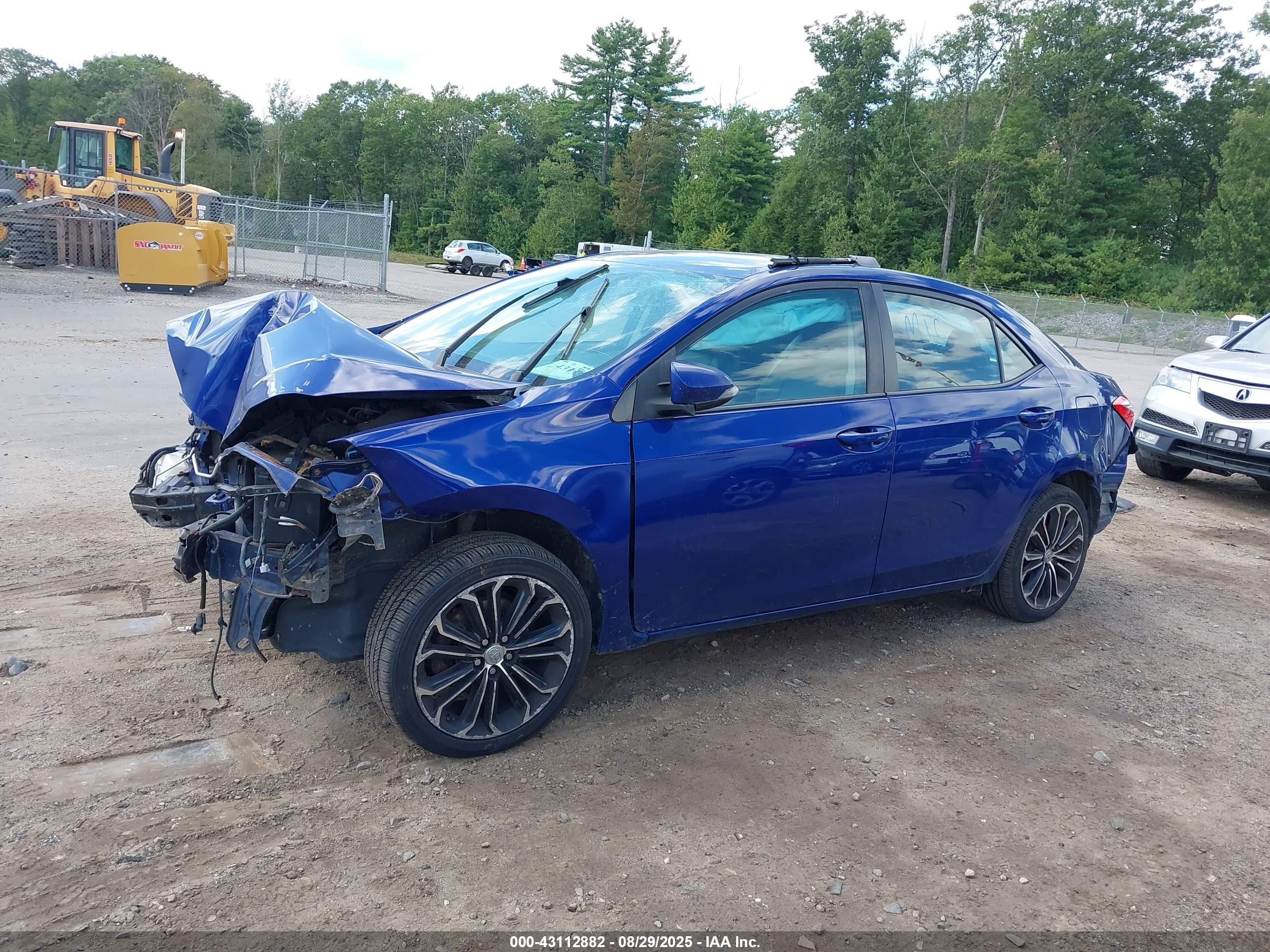 TOYOTA COROLLA image 6