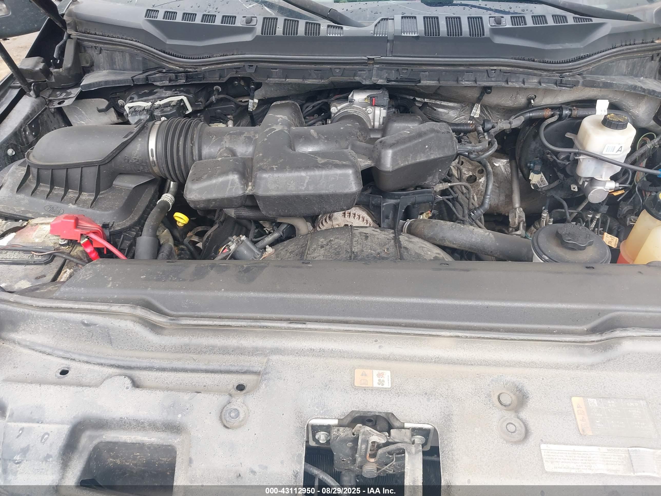 FORD F-250 image 10