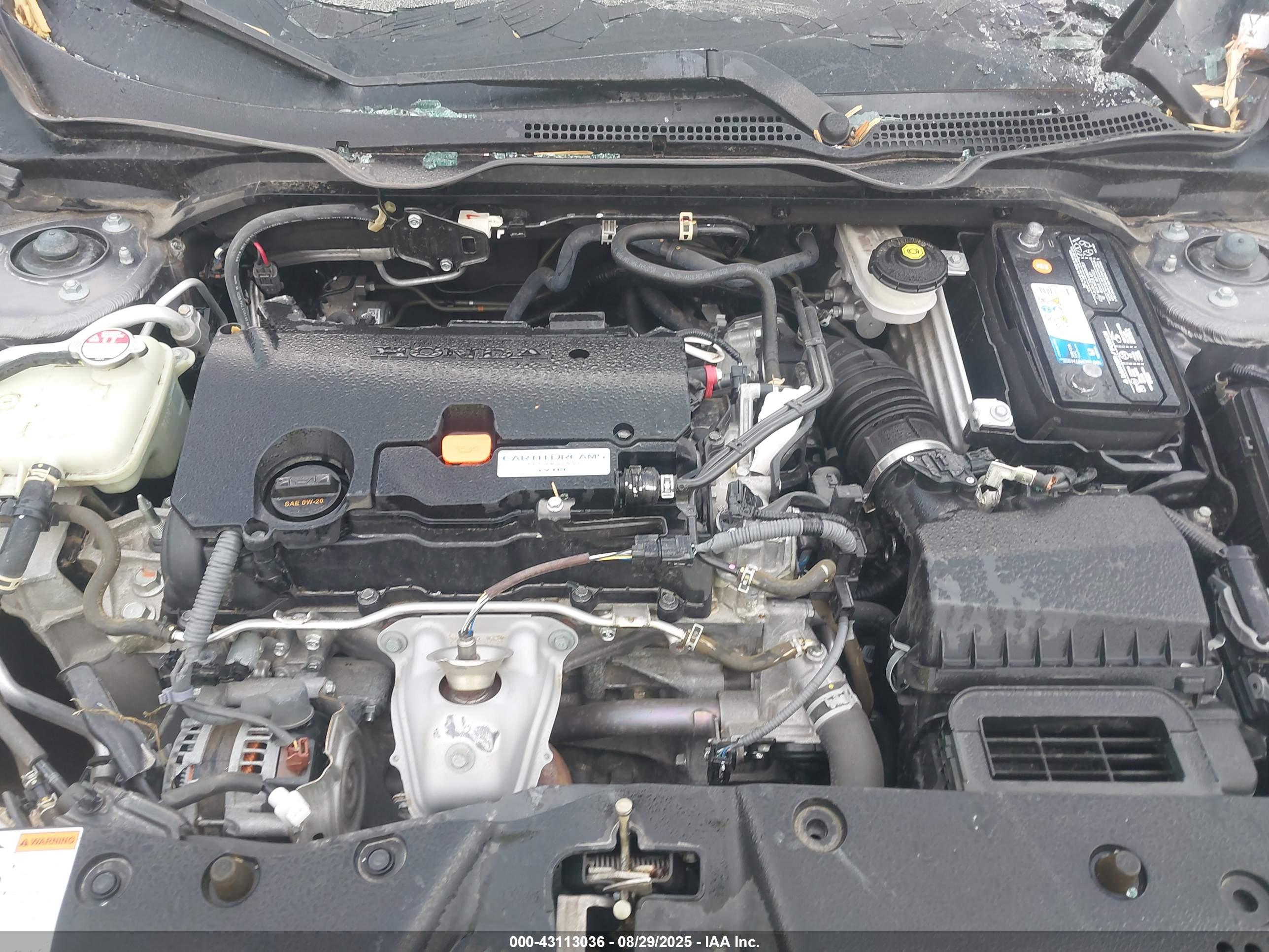 HONDA CIVIC image 10