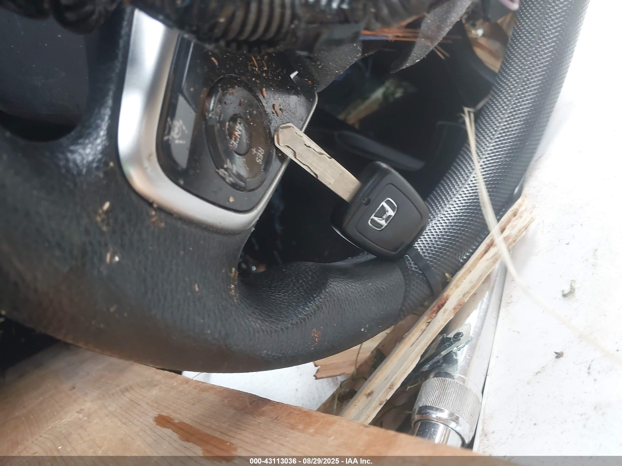 HONDA CIVIC image 11