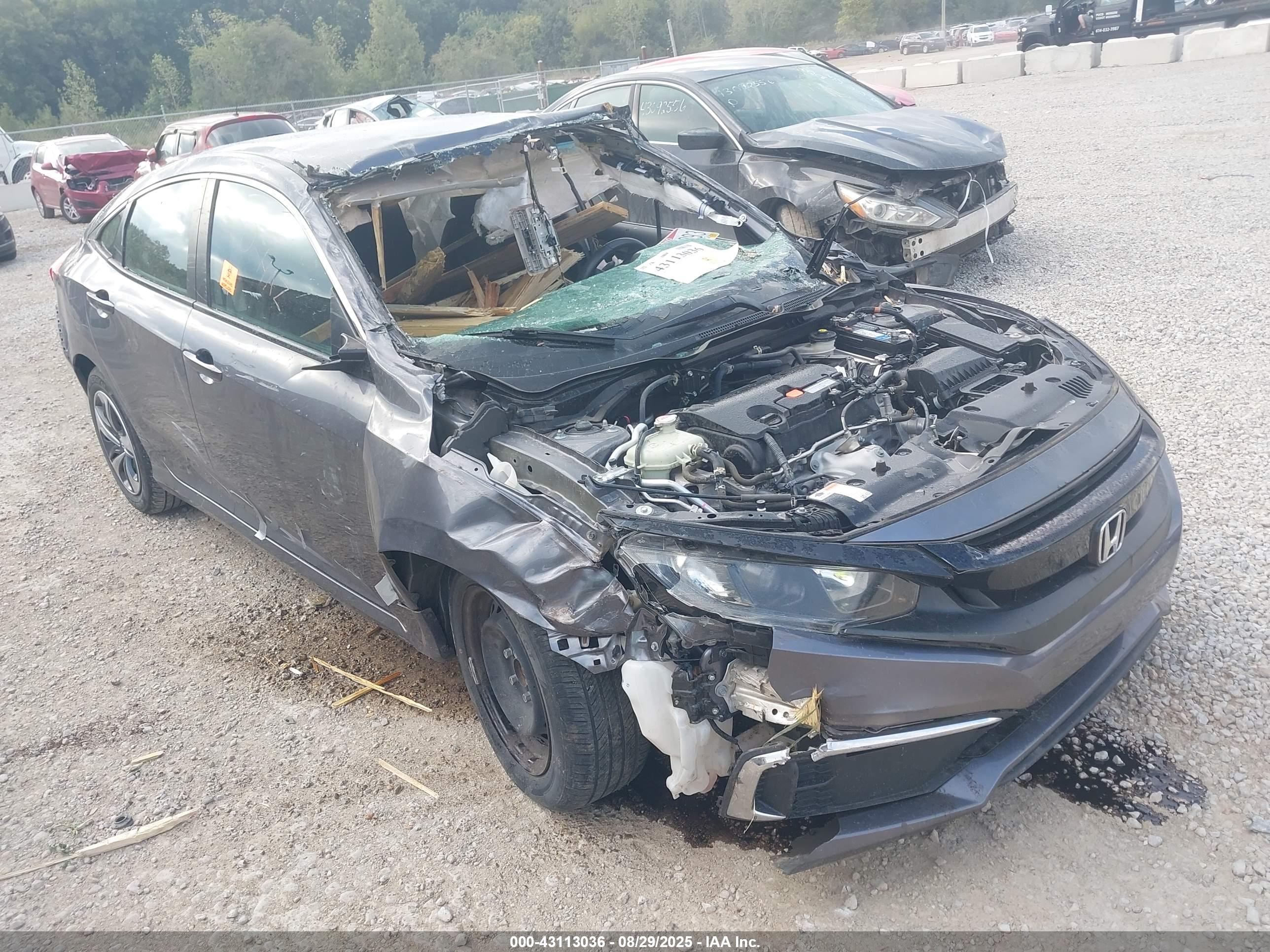HONDA CIVIC image 6