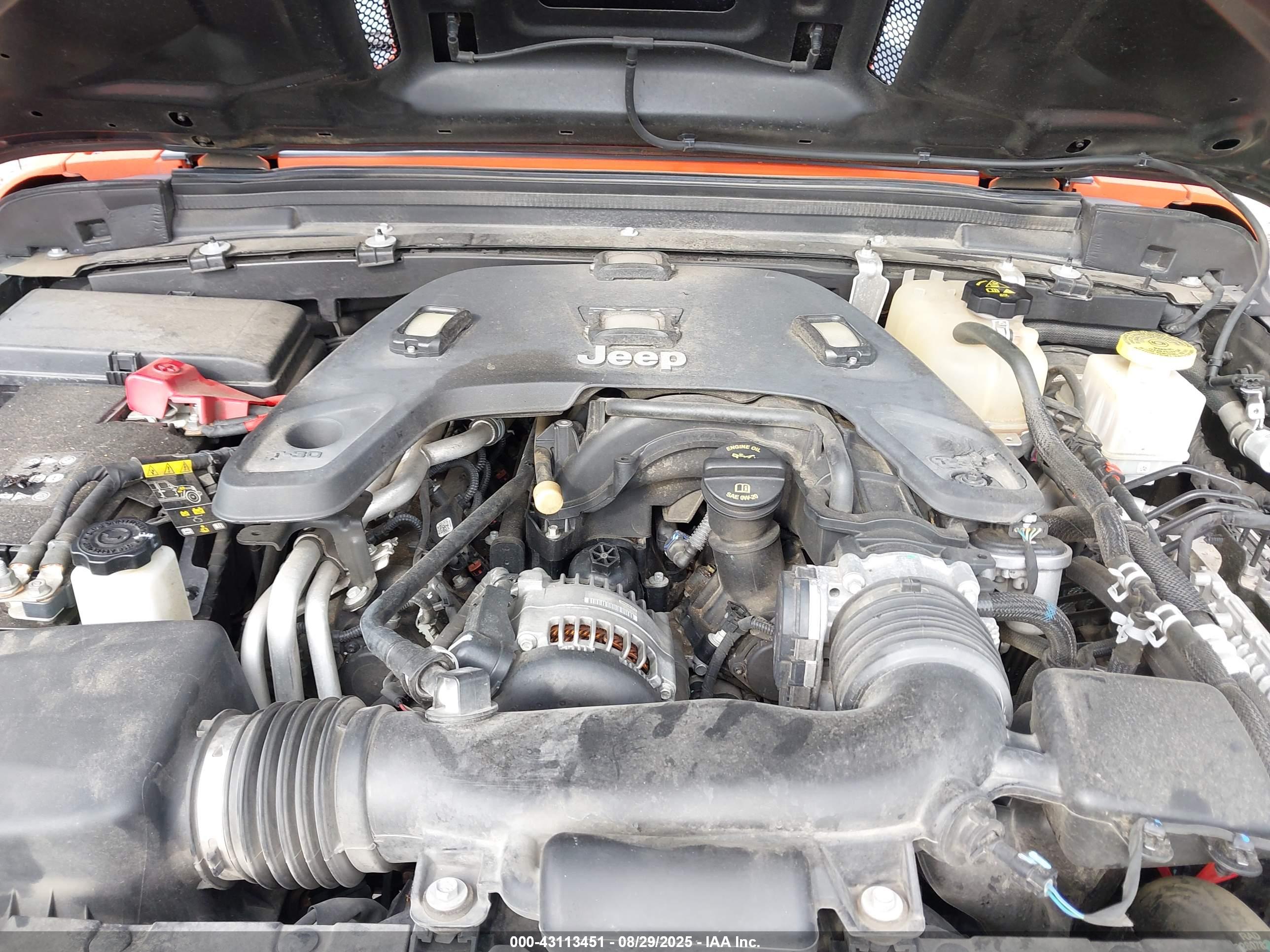 JEEP GLADIATOR image 10