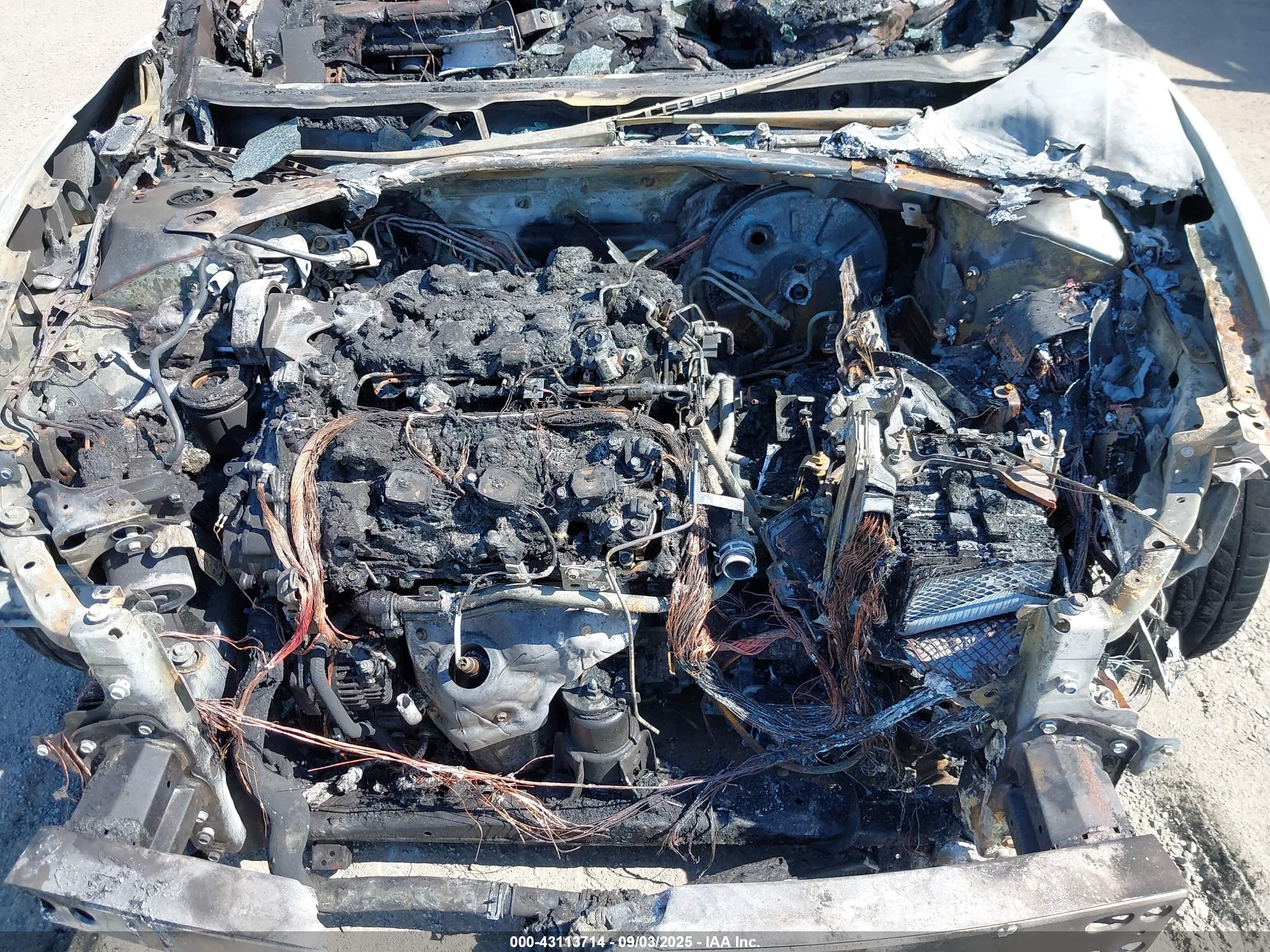 NISSAN MAXIMA image 10