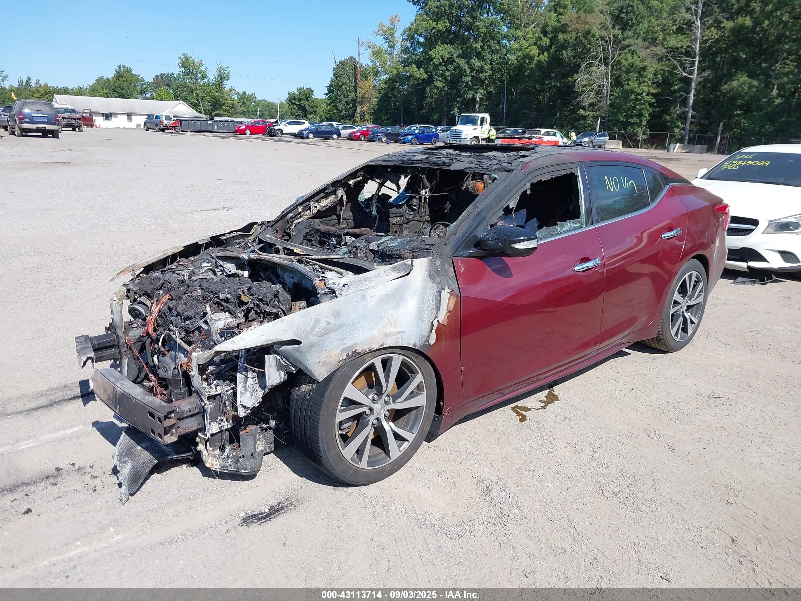 NISSAN MAXIMA image 2