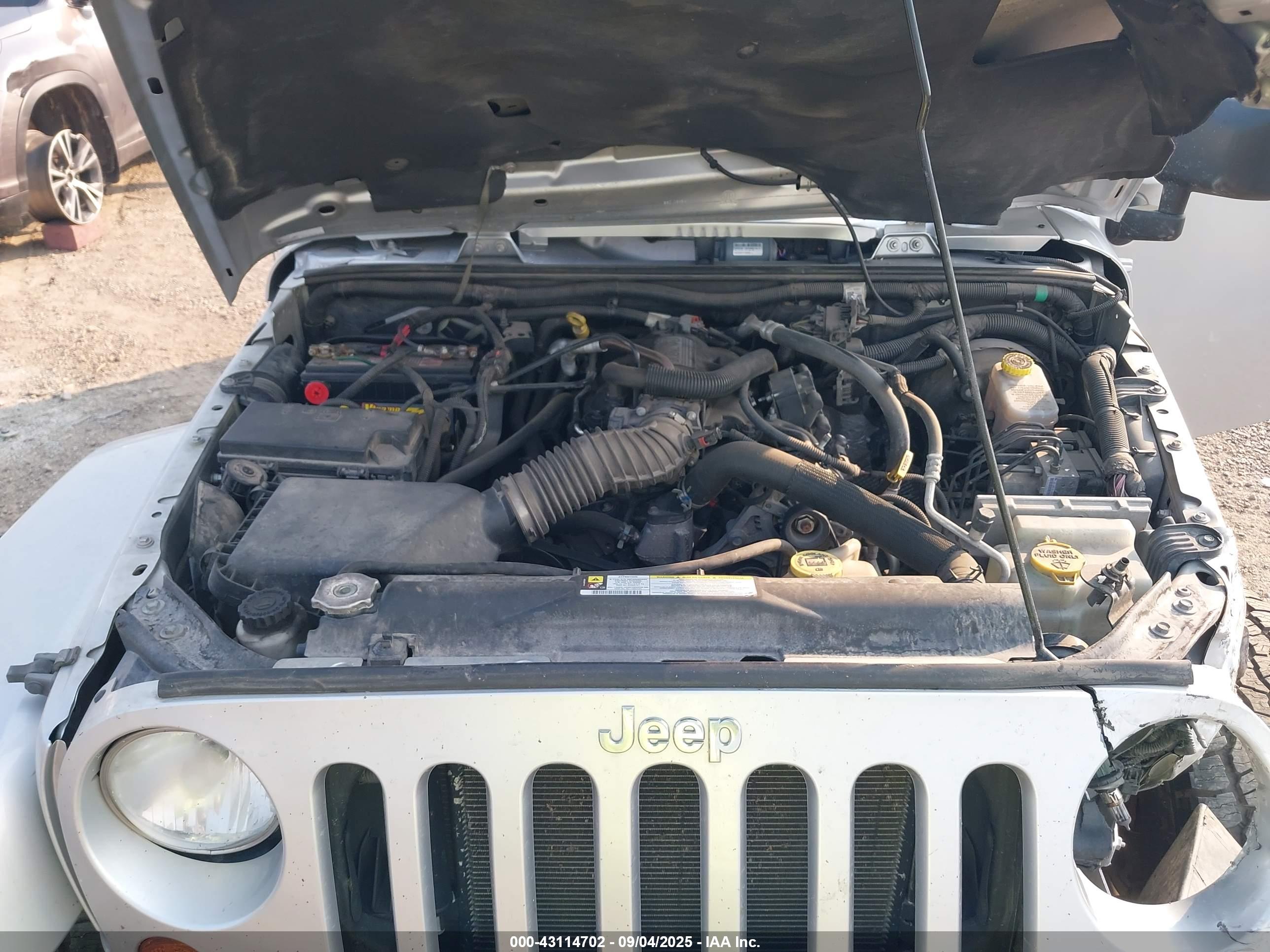 JEEP WRANGLER image 10