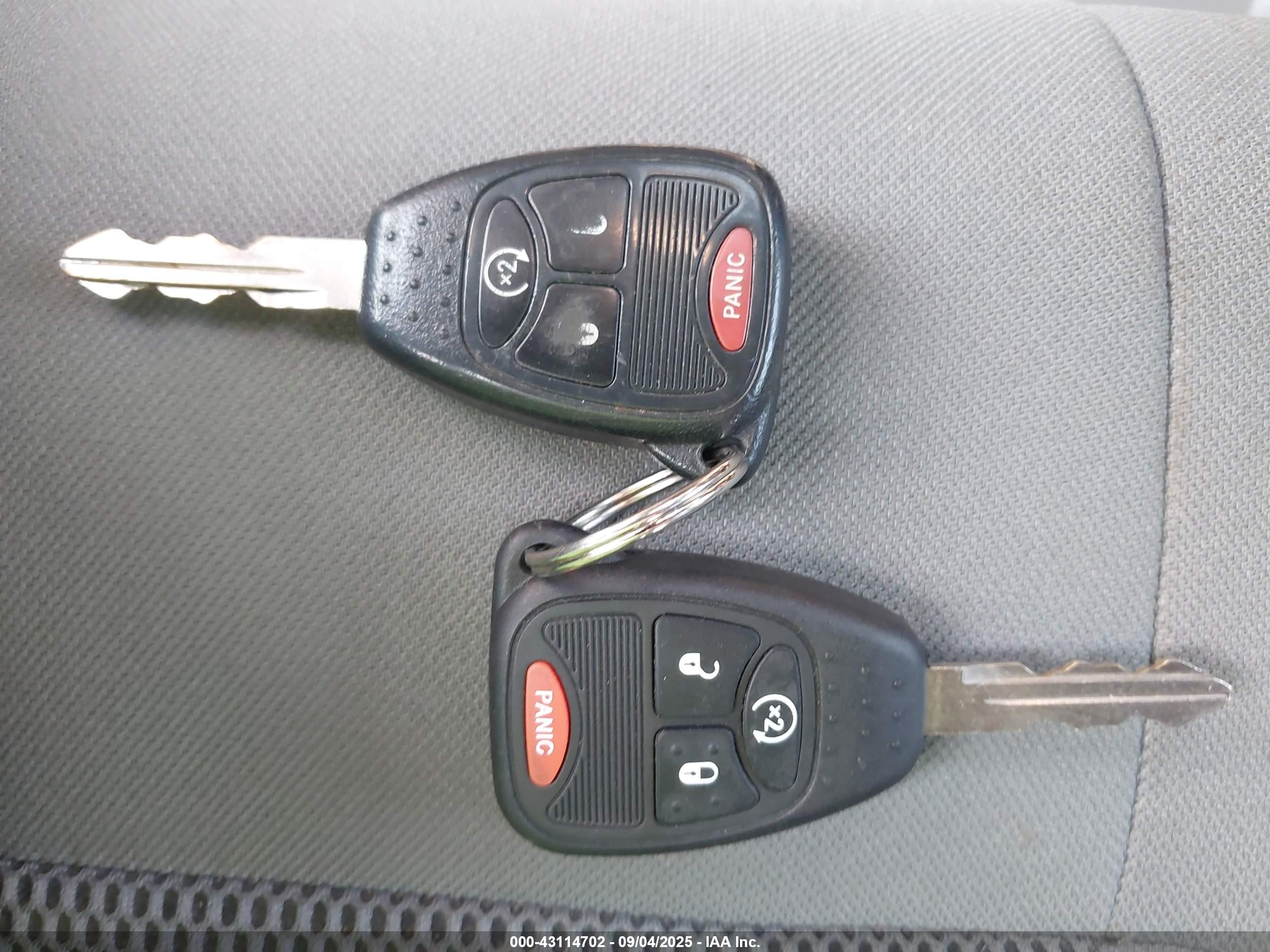 JEEP WRANGLER image 11