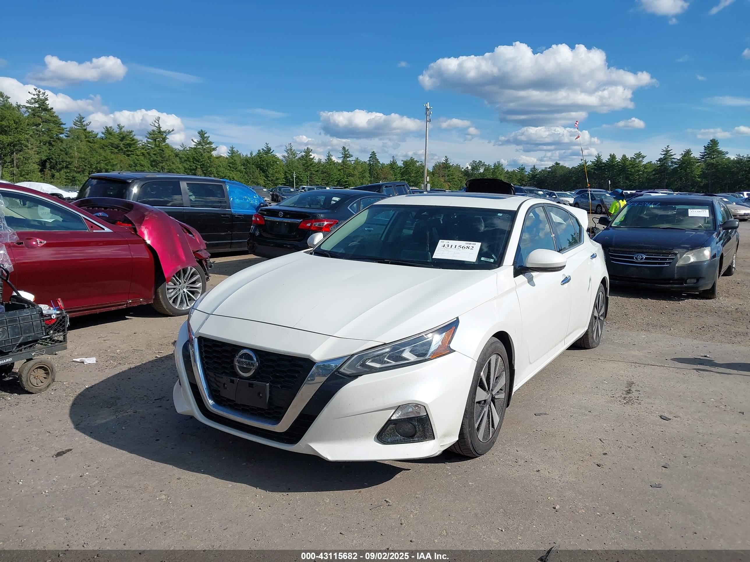 NISSAN ALTIMA image 2