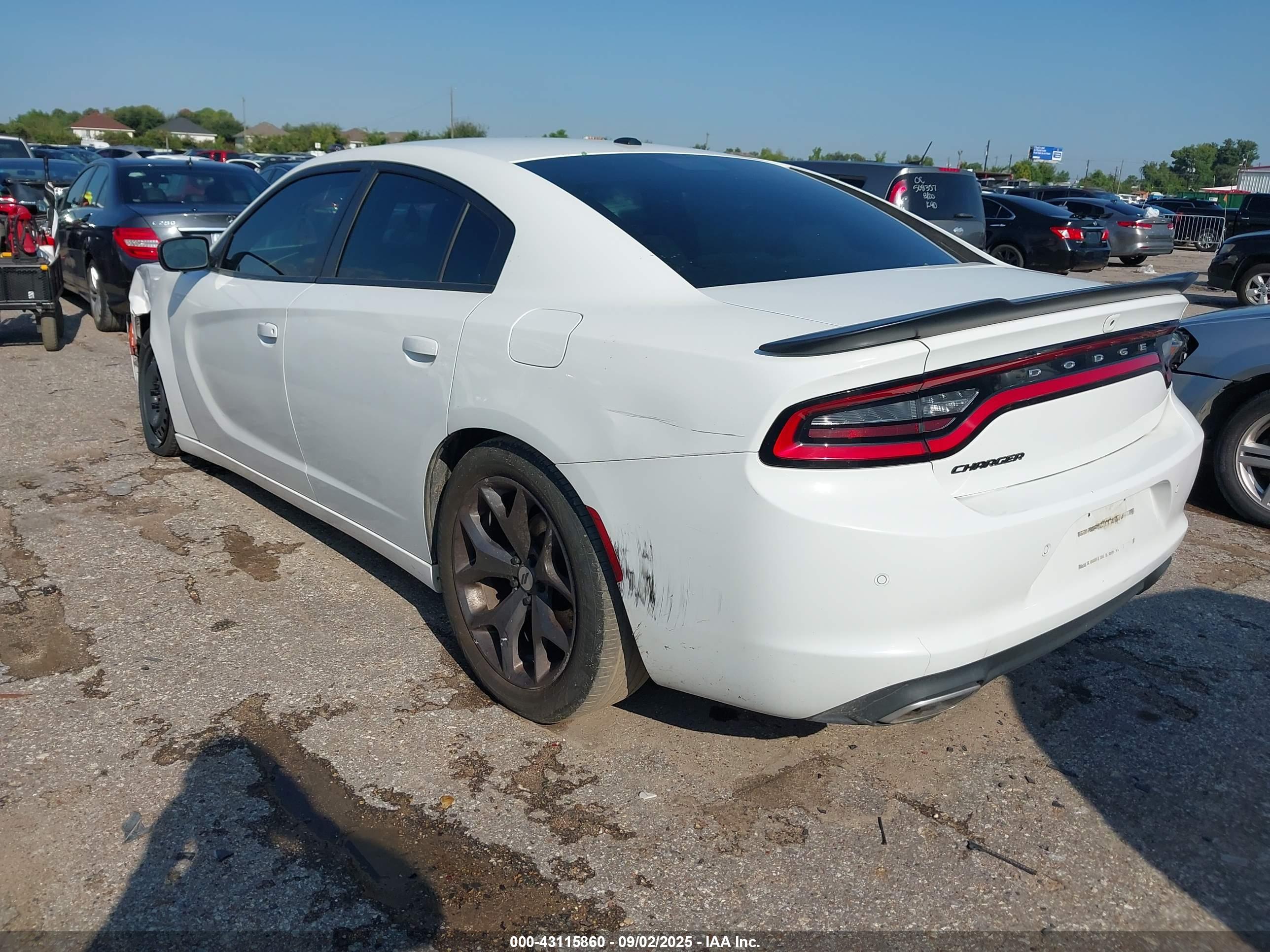 DODGE CHARGER image 3
