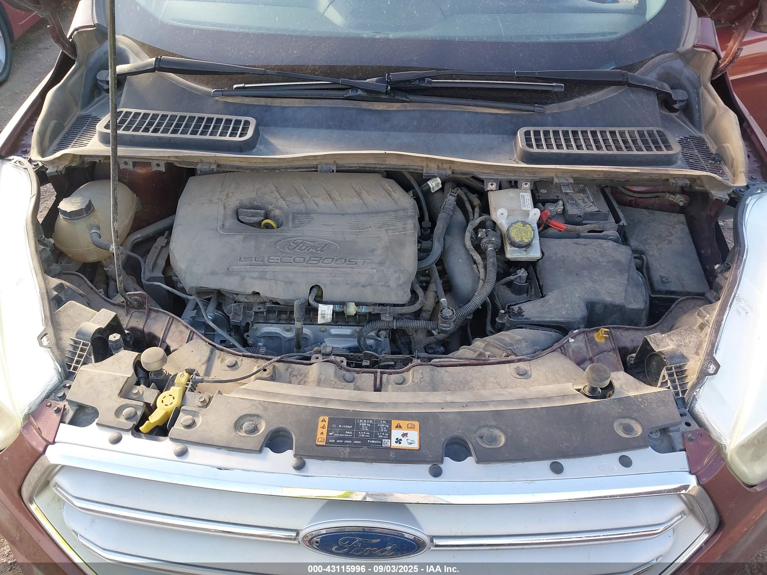 FORD ESCAPE image 10