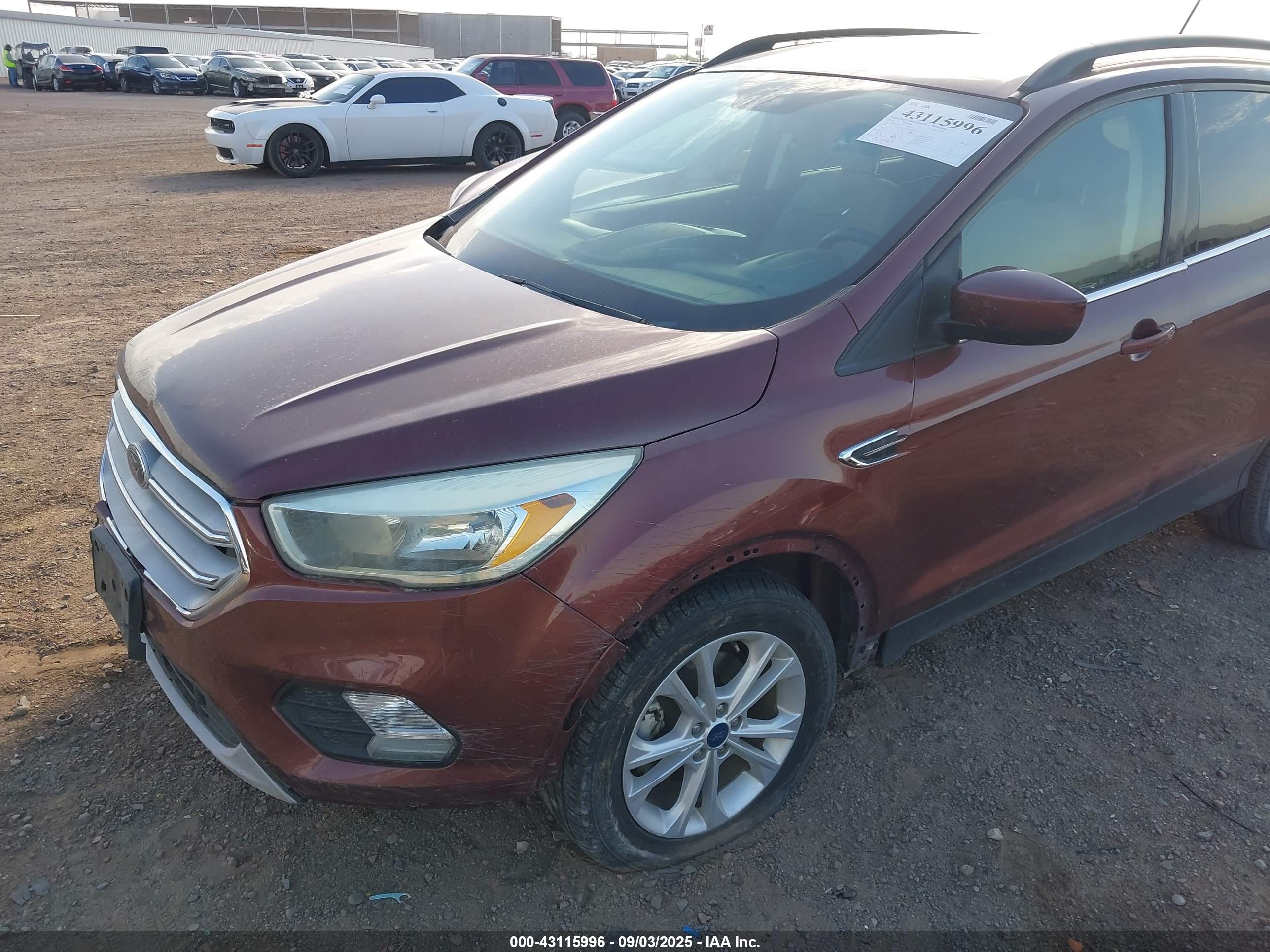 FORD ESCAPE image 6