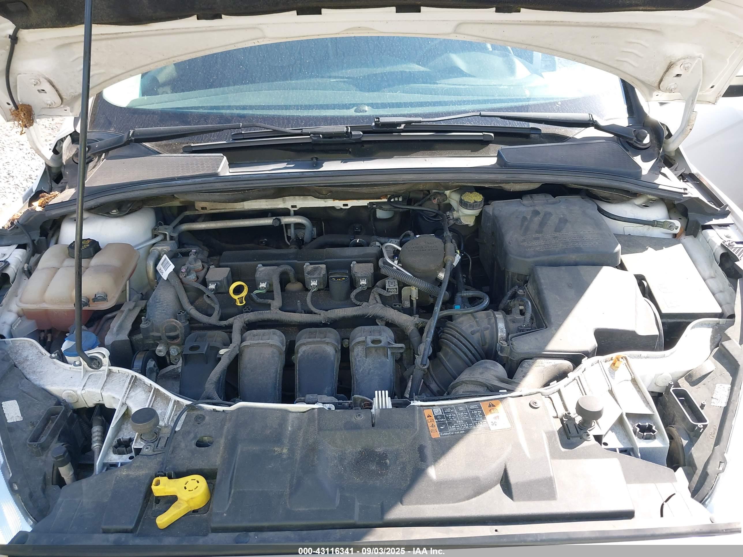 FORD FOCUS image 10