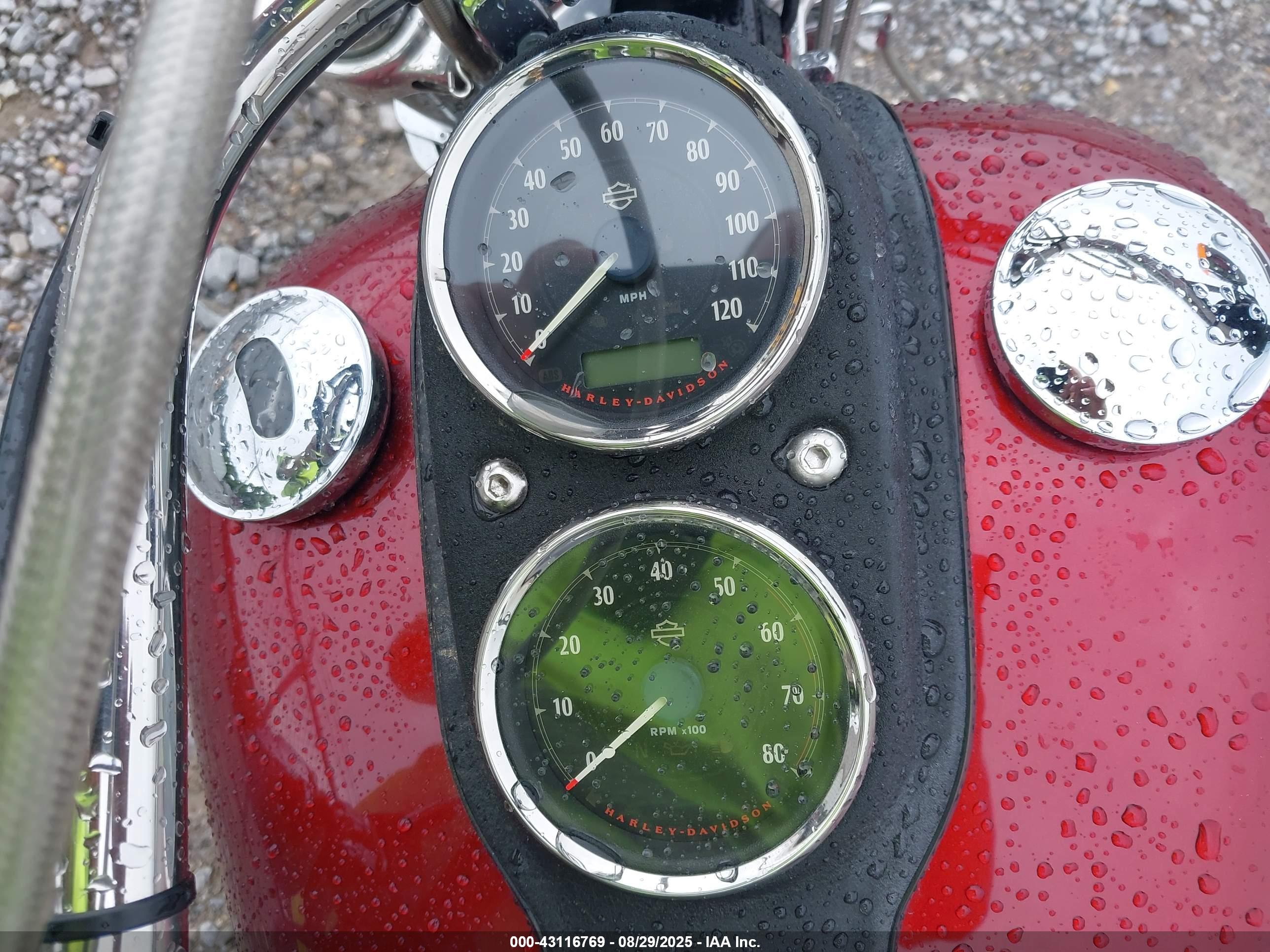 HARLEY-DAVIDSON FXDL image 7