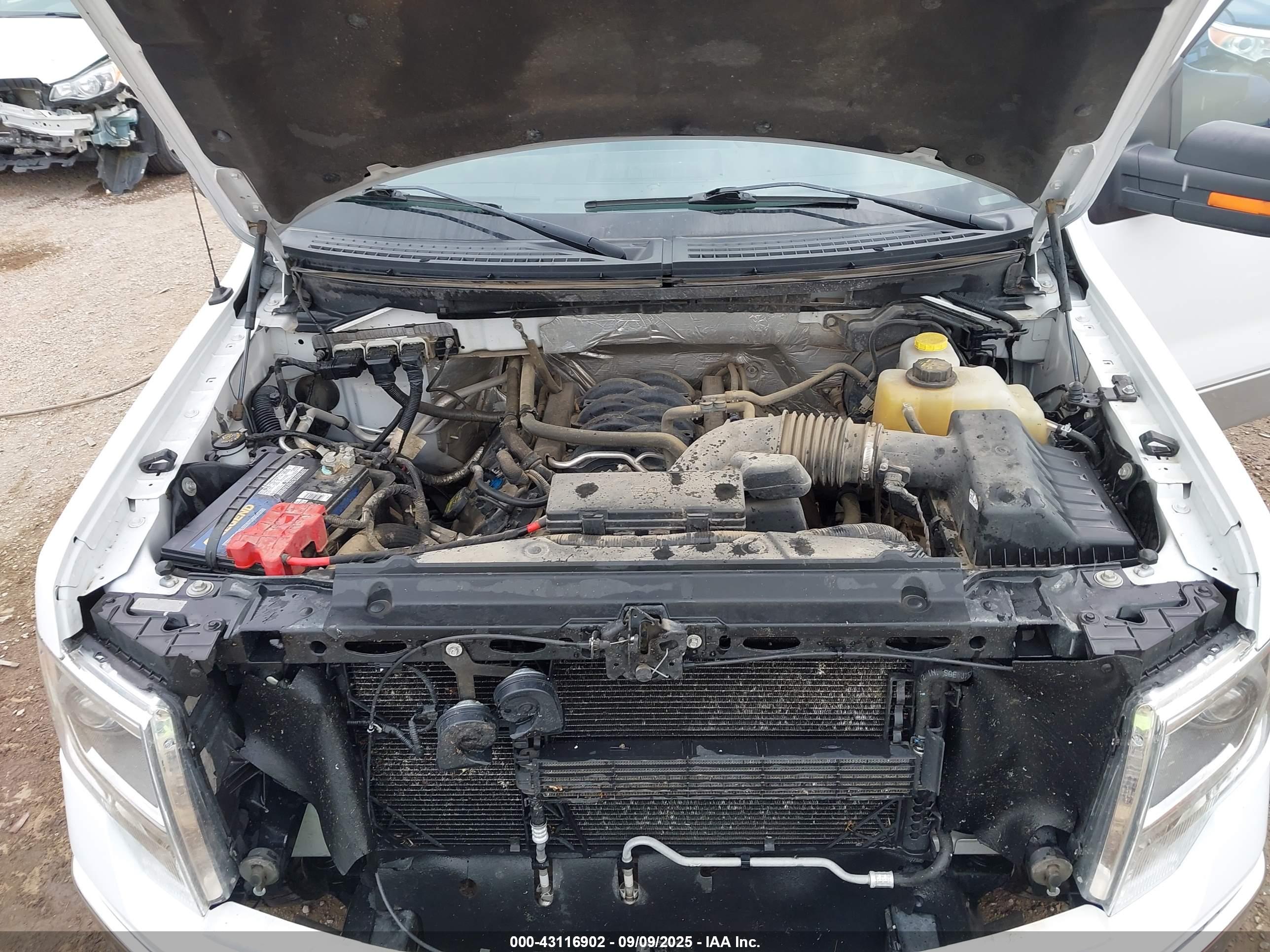 FORD F-150 image 10