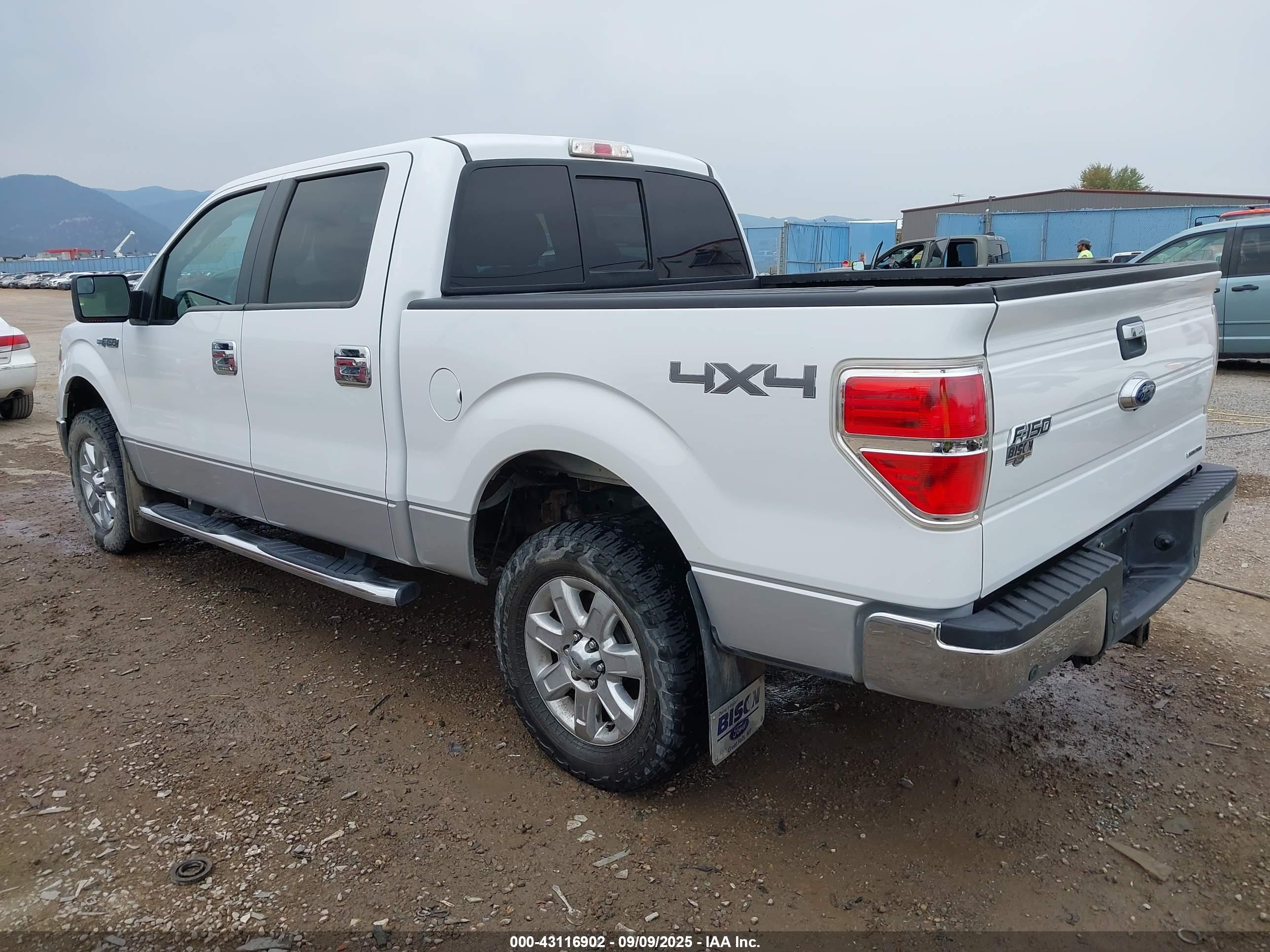 FORD F-150 image 3