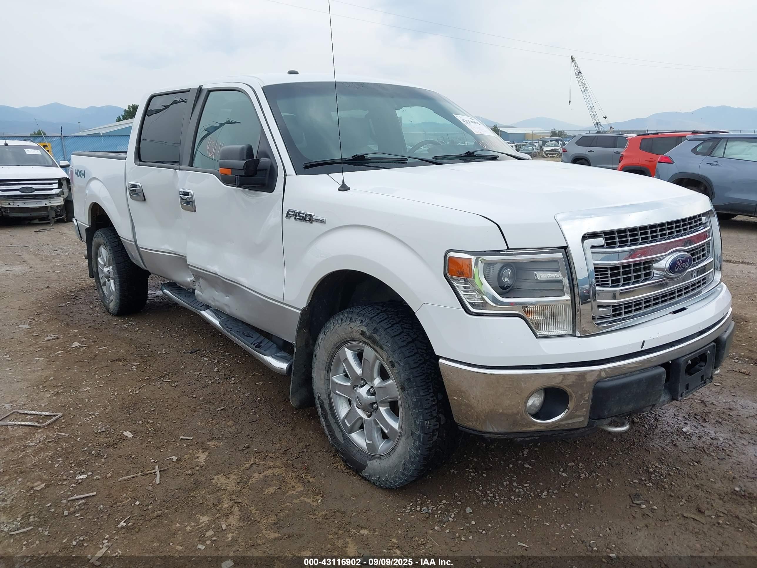 FORD F-150 image 6