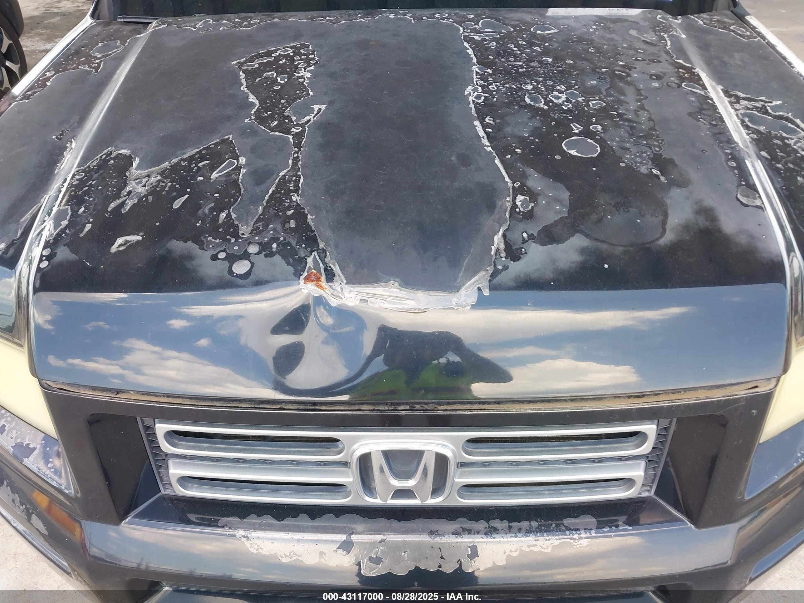 HONDA RIDGELINE image 6