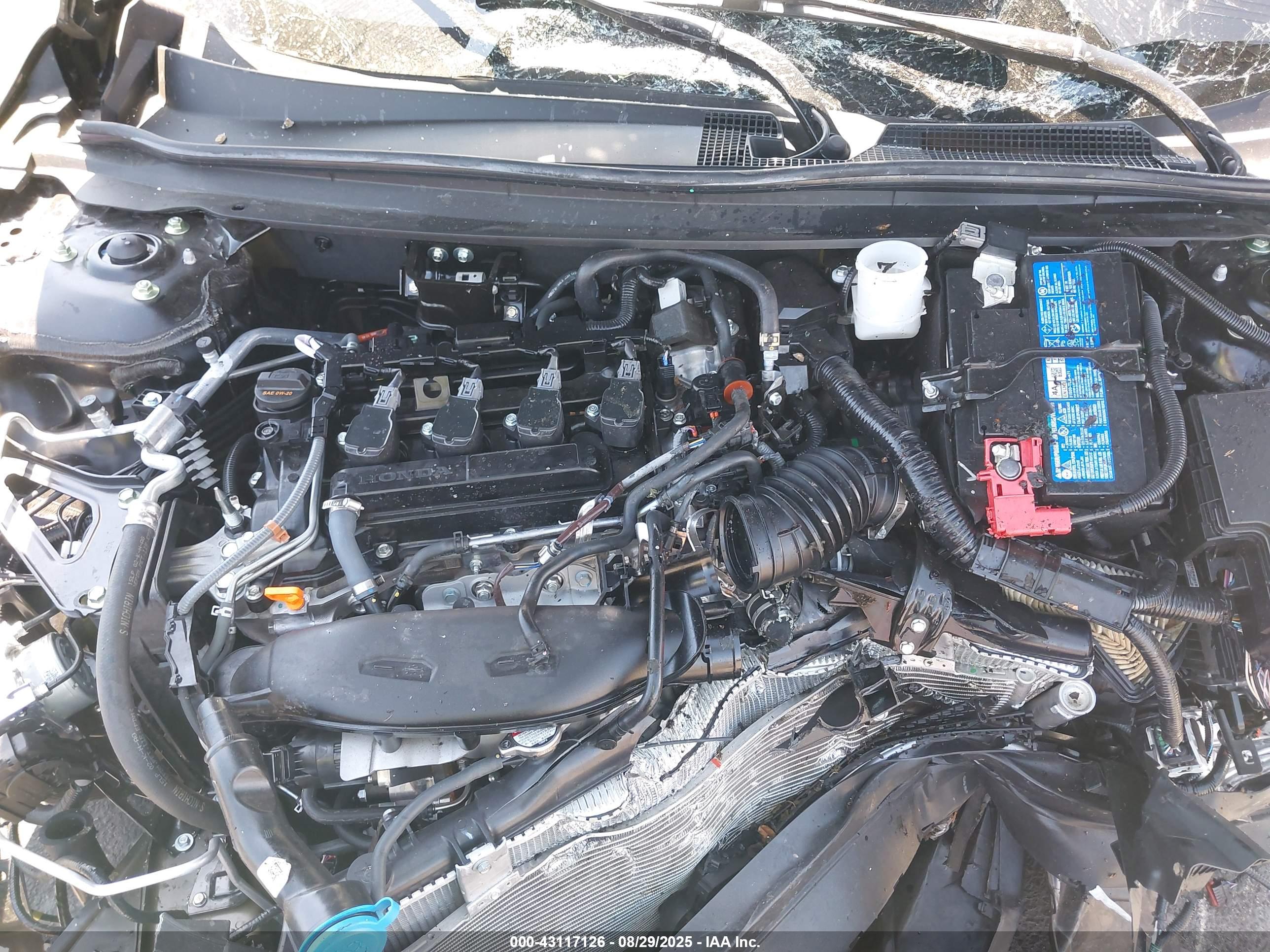 HONDA ACCORD image 10