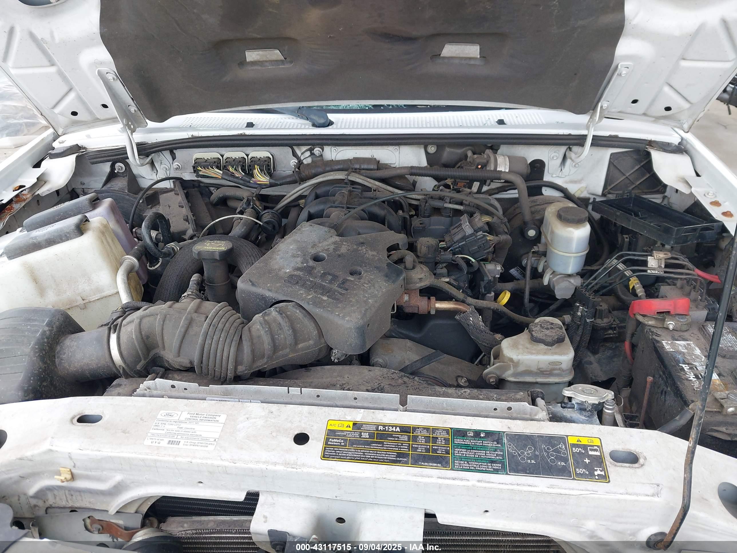 FORD RANGER image 10