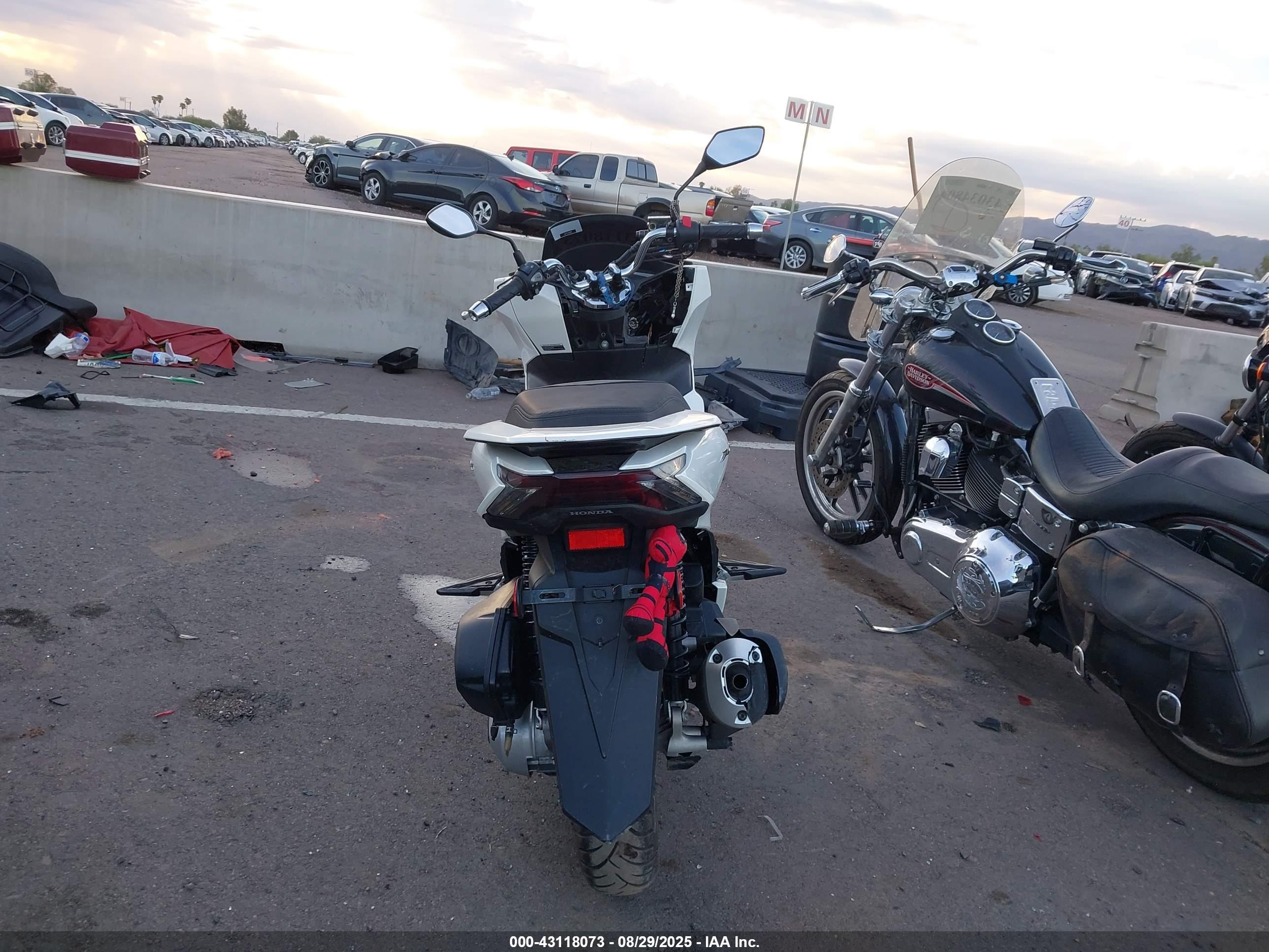 HONDA WW150 image 6
