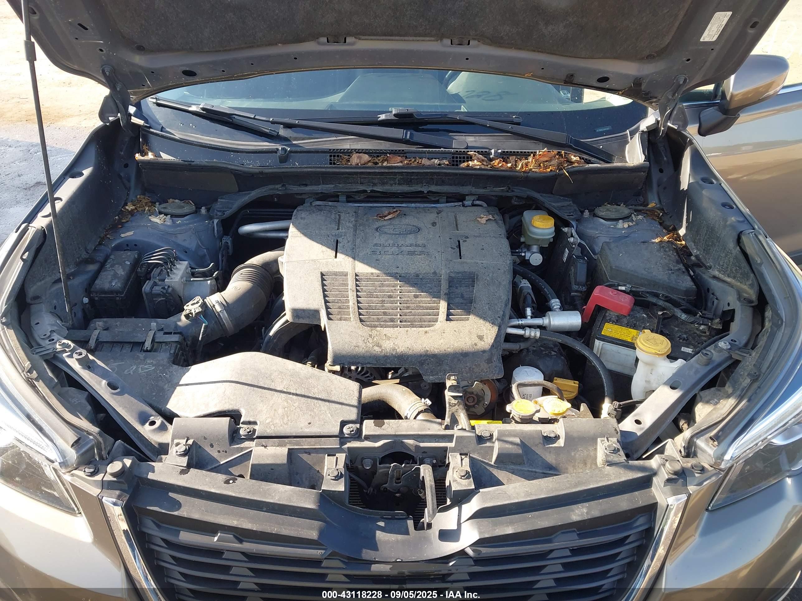 SUBARU FORESTER image 10