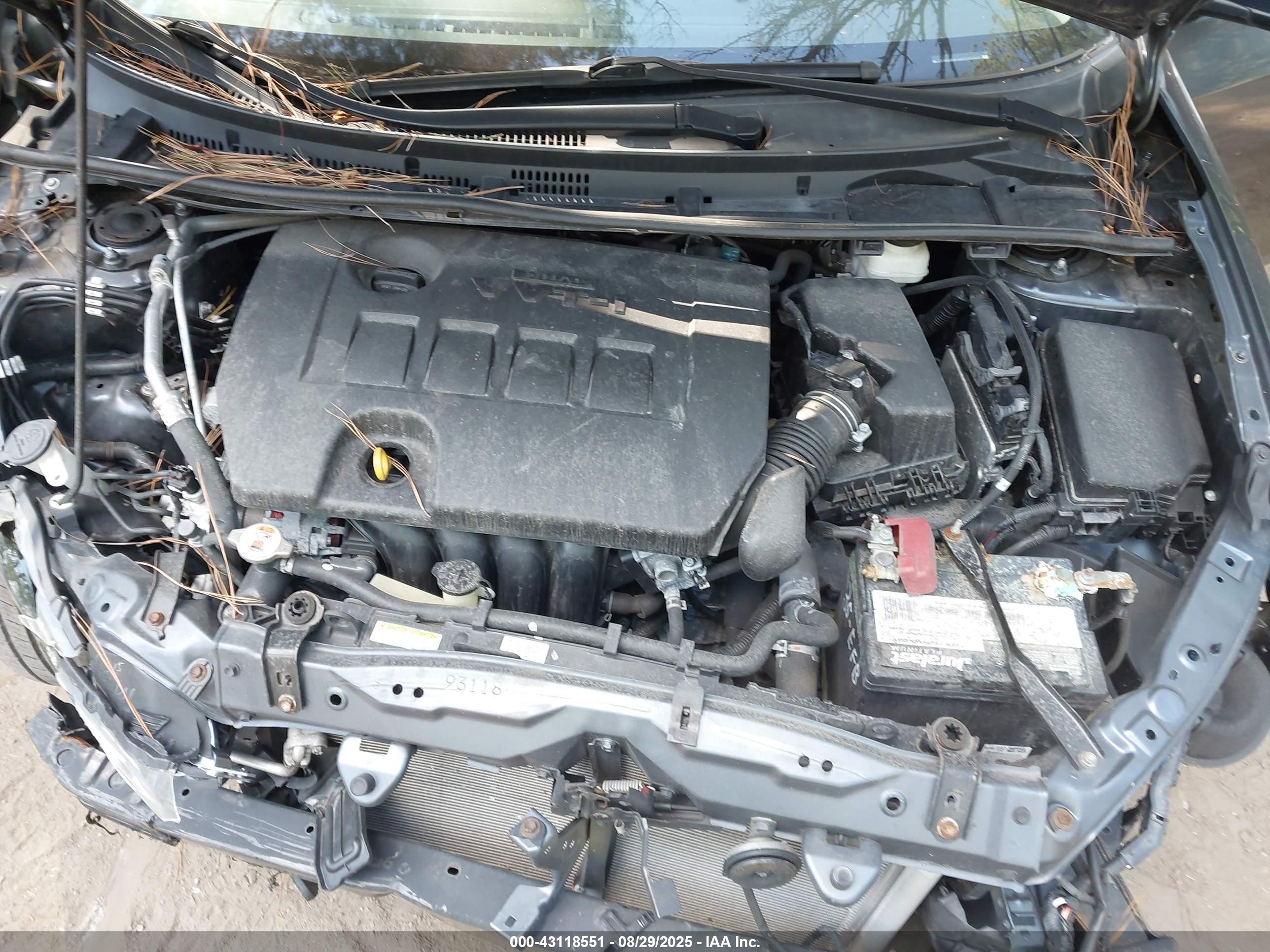 TOYOTA COROLLA image 10