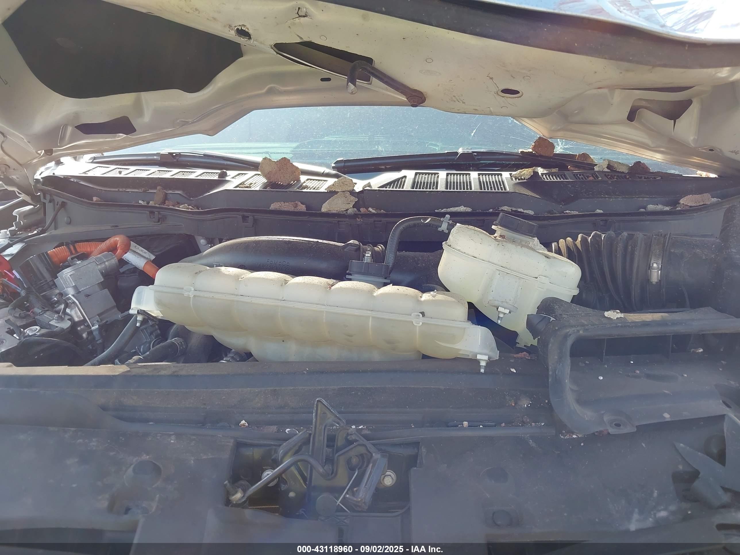 FORD F-150 image 10