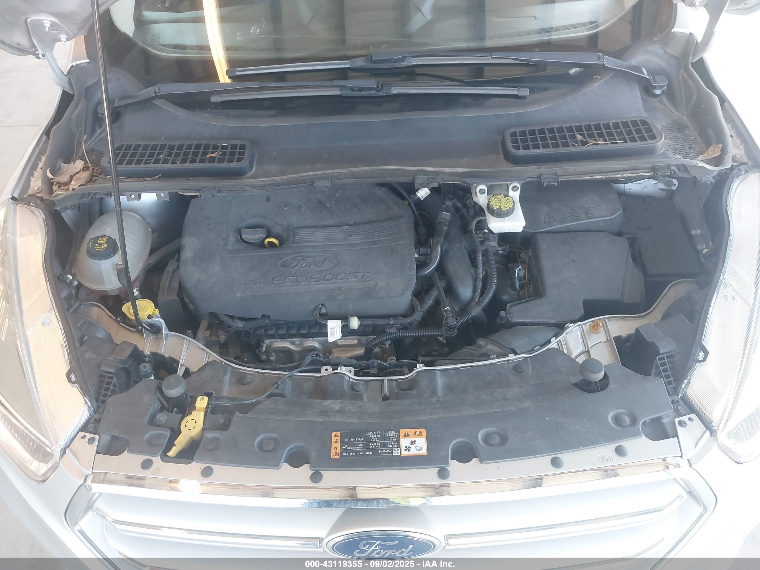 FORD ESCAPE image 10