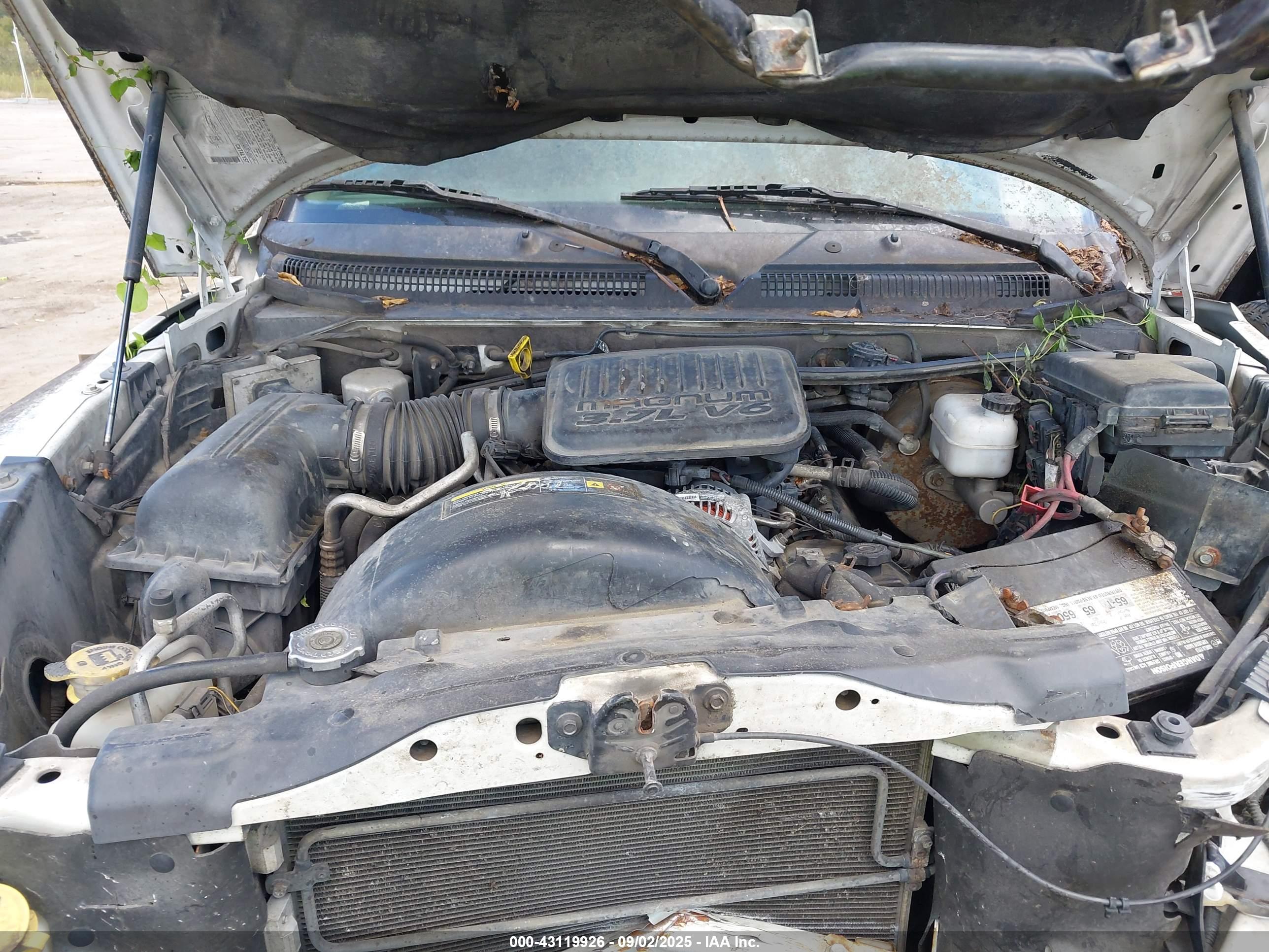 DODGE DAKOTA image 10