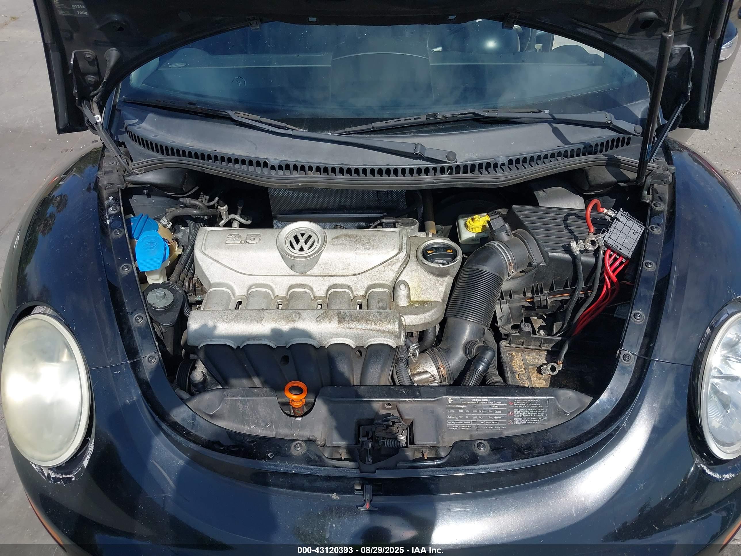 VOLKSWAGEN NEW image 10