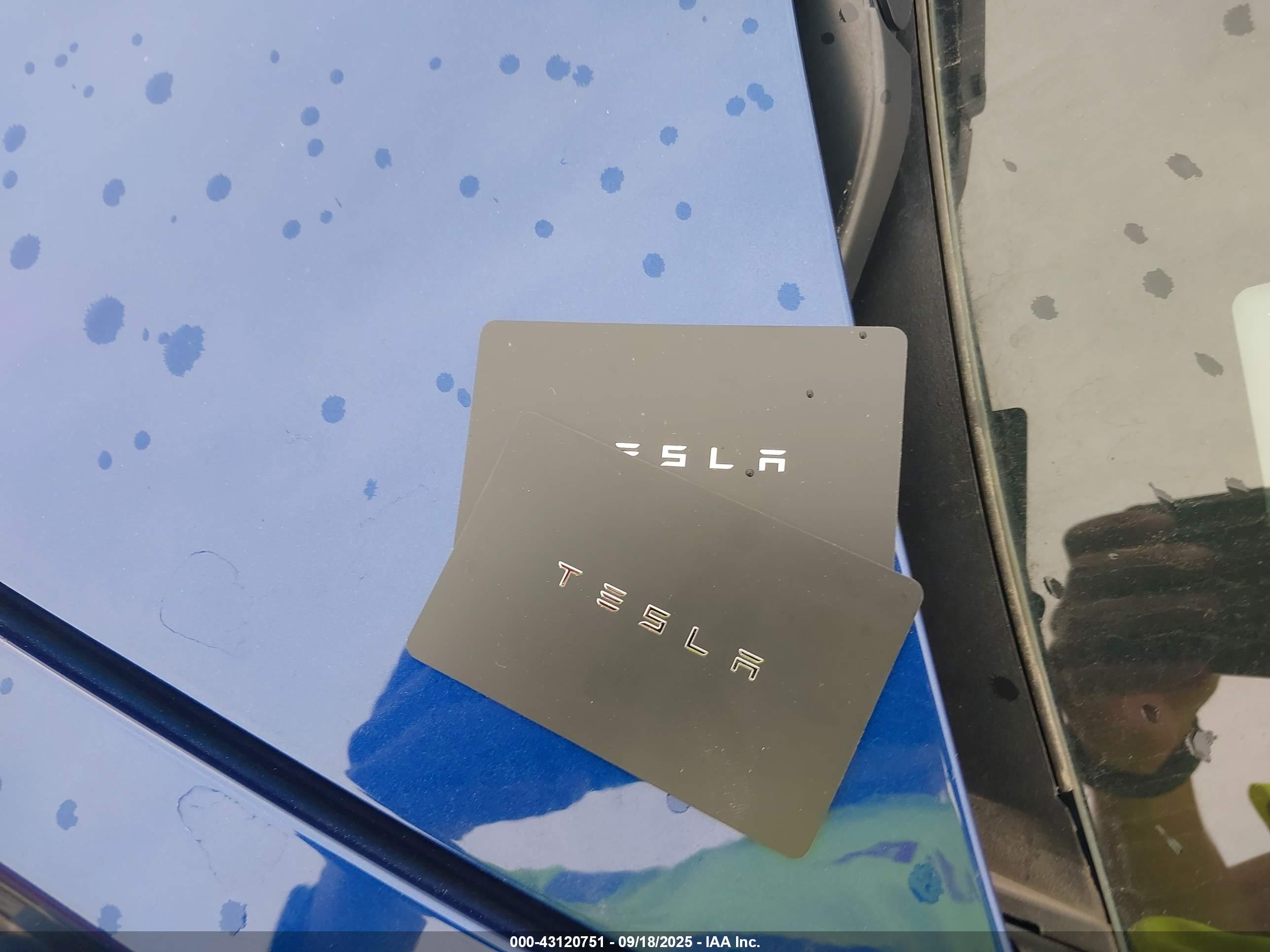 TESLA MODEL image 11