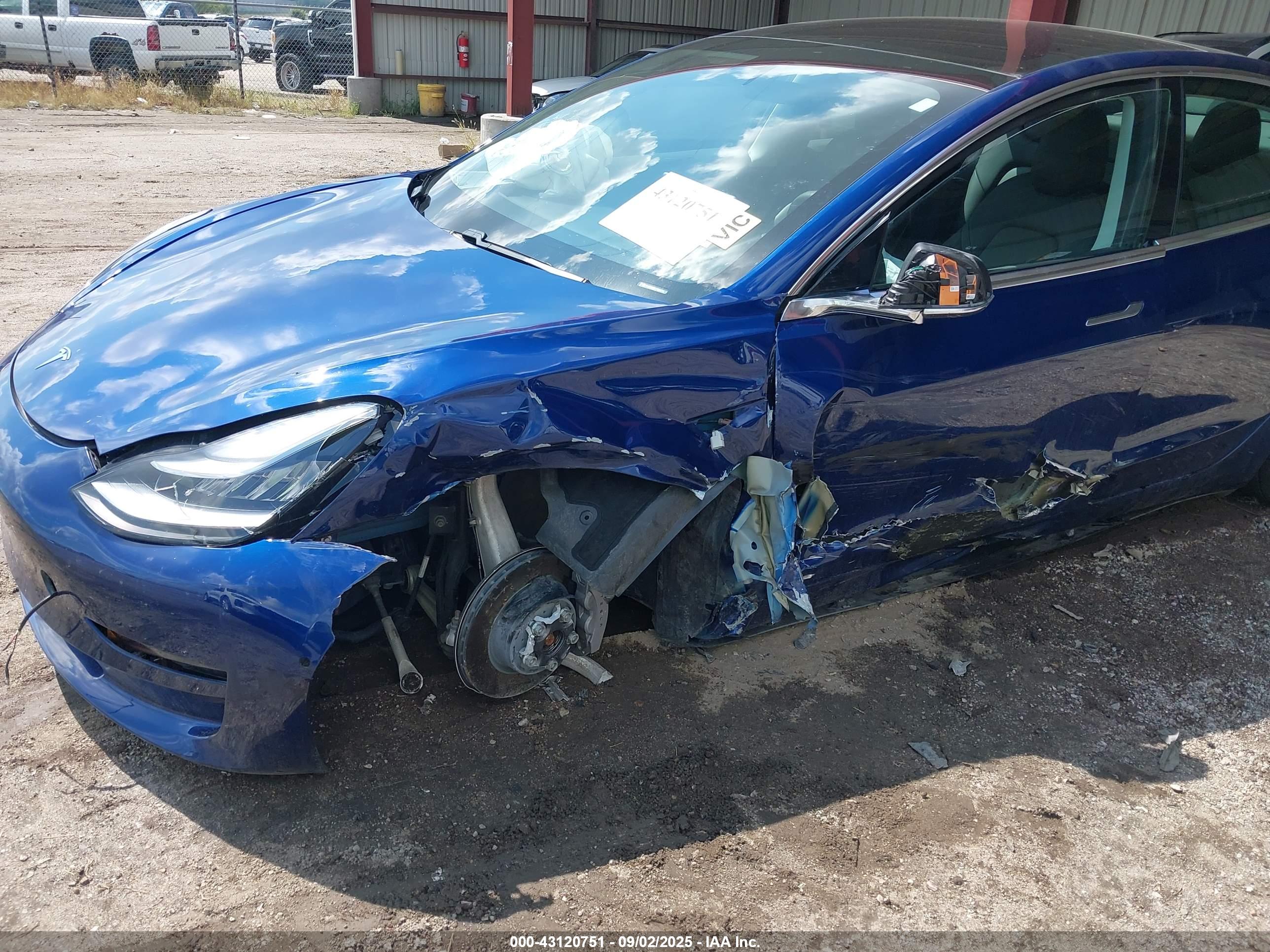 TESLA MODEL image 6