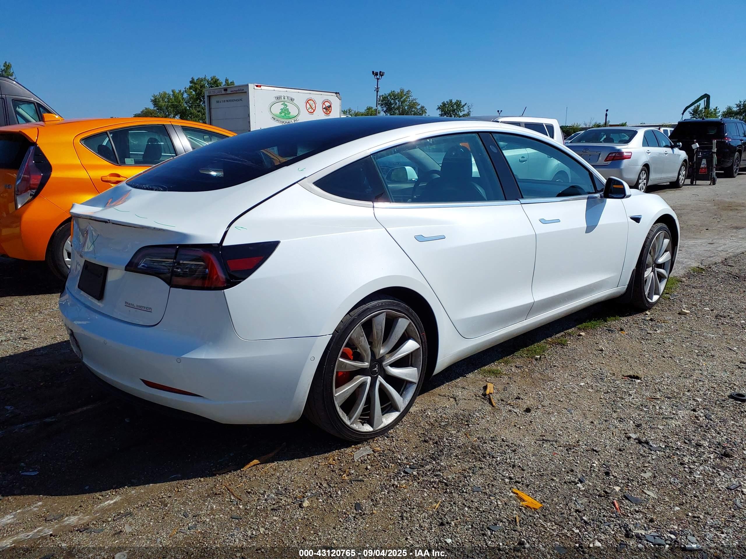 TESLA MODEL image 4