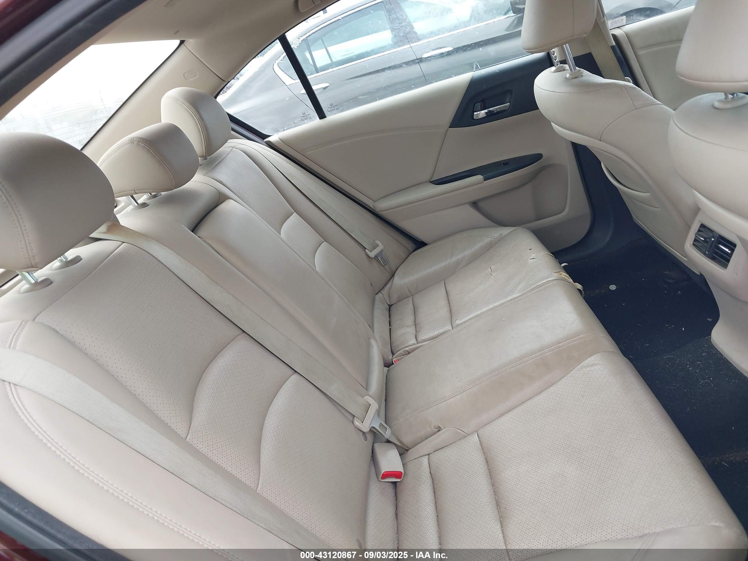 HONDA ACCORD image 8