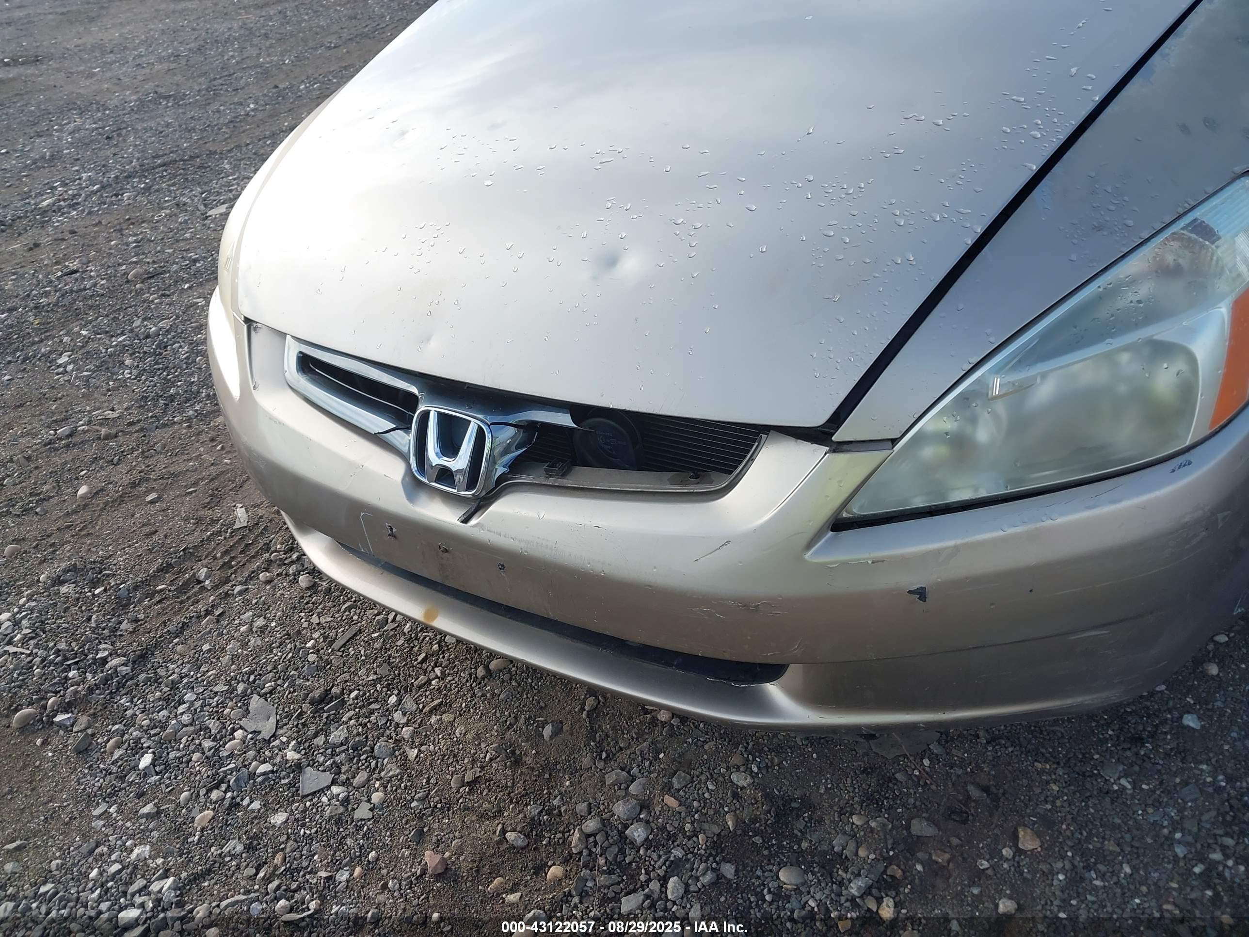 HONDA ACCORD image 6
