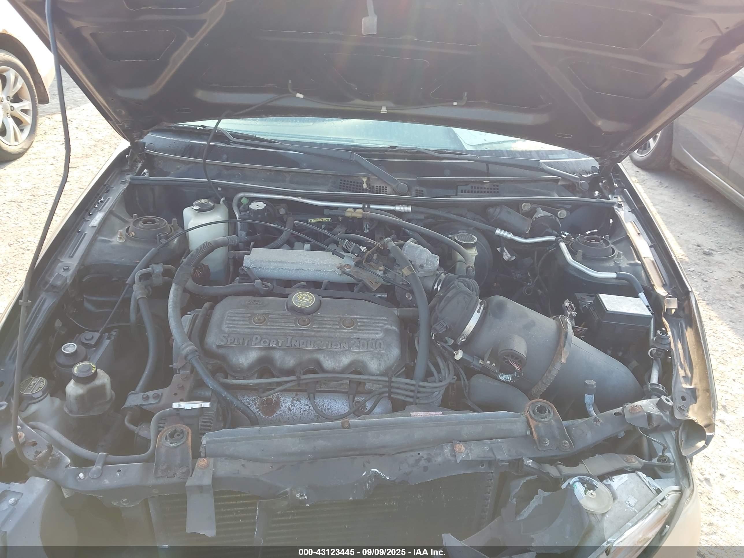 FORD ESCORT image 10