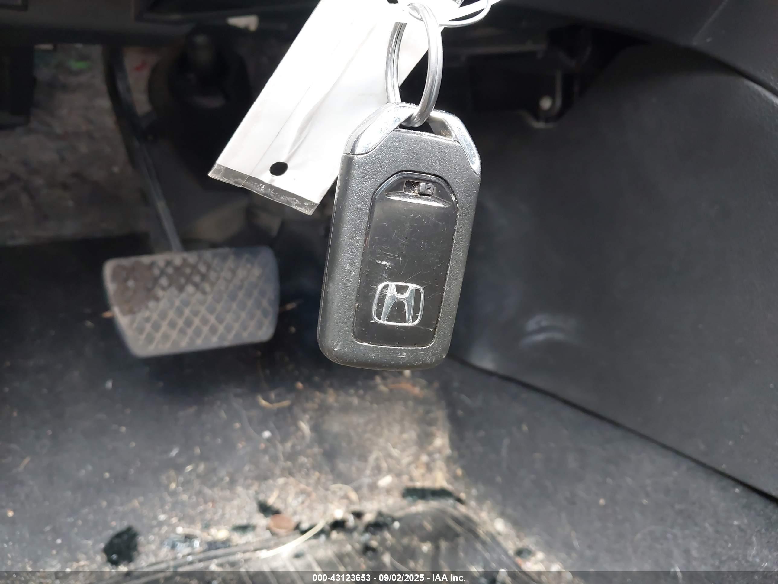 HONDA ACCORD image 11