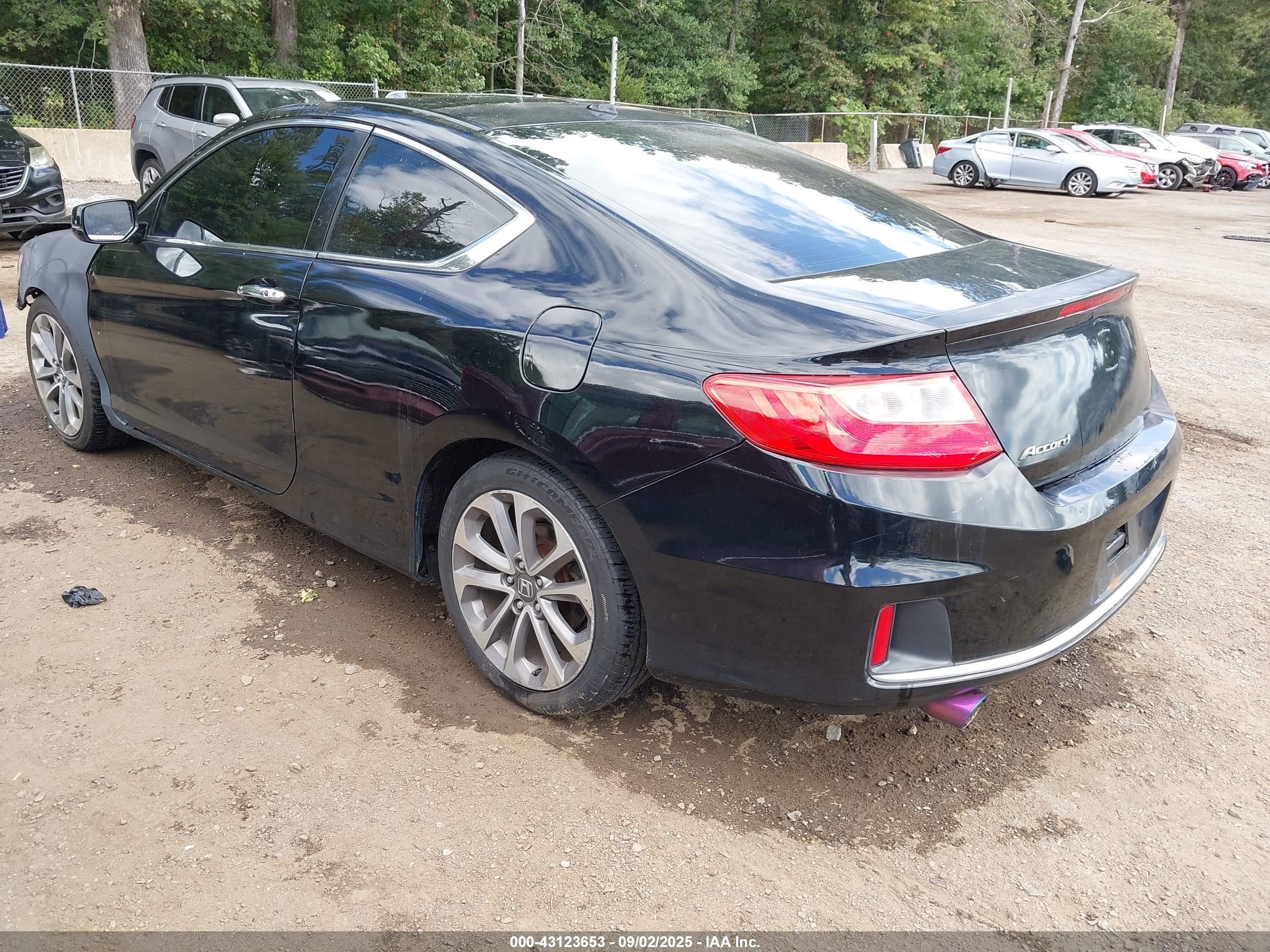 HONDA ACCORD image 3