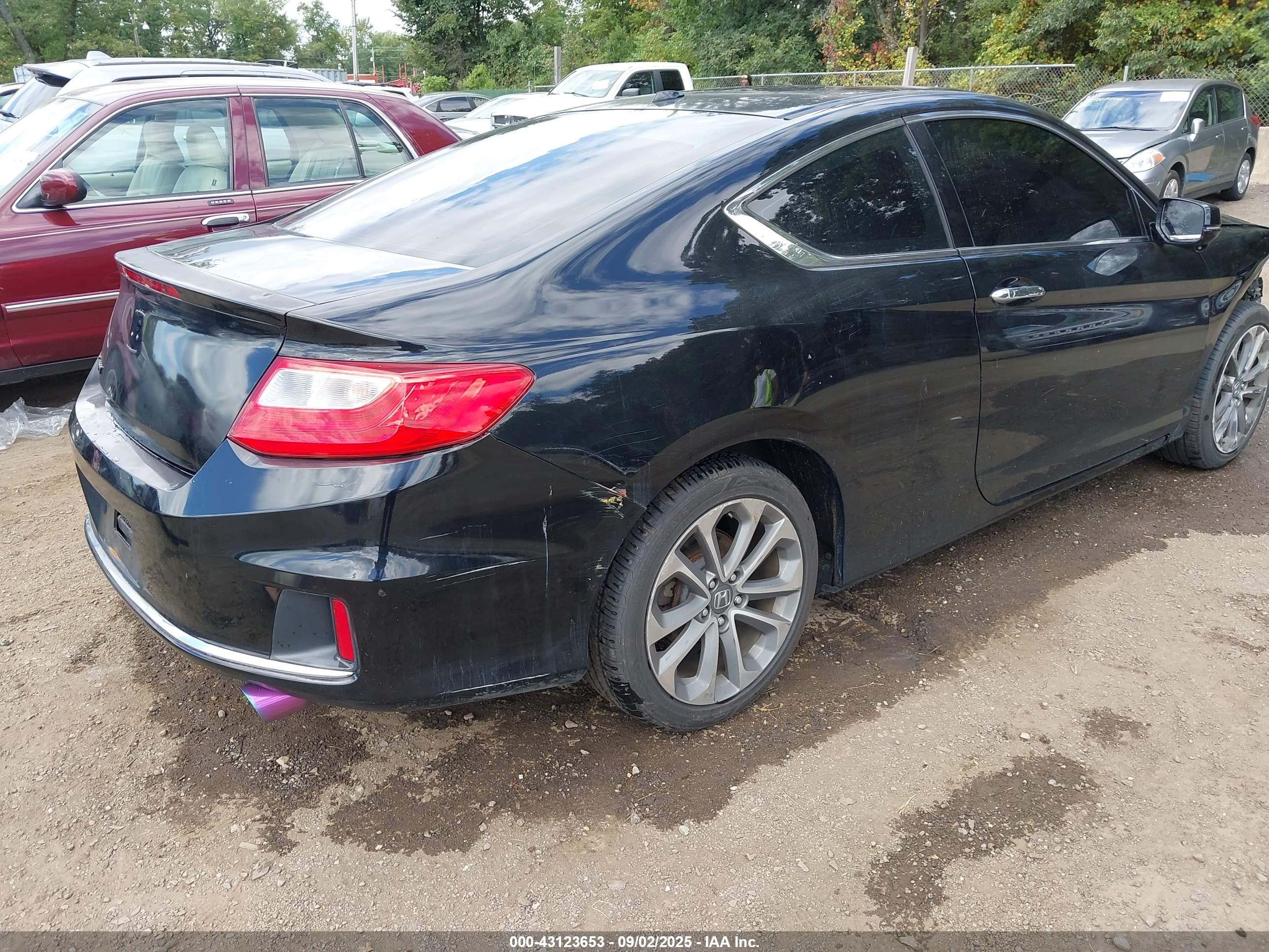 HONDA ACCORD image 4