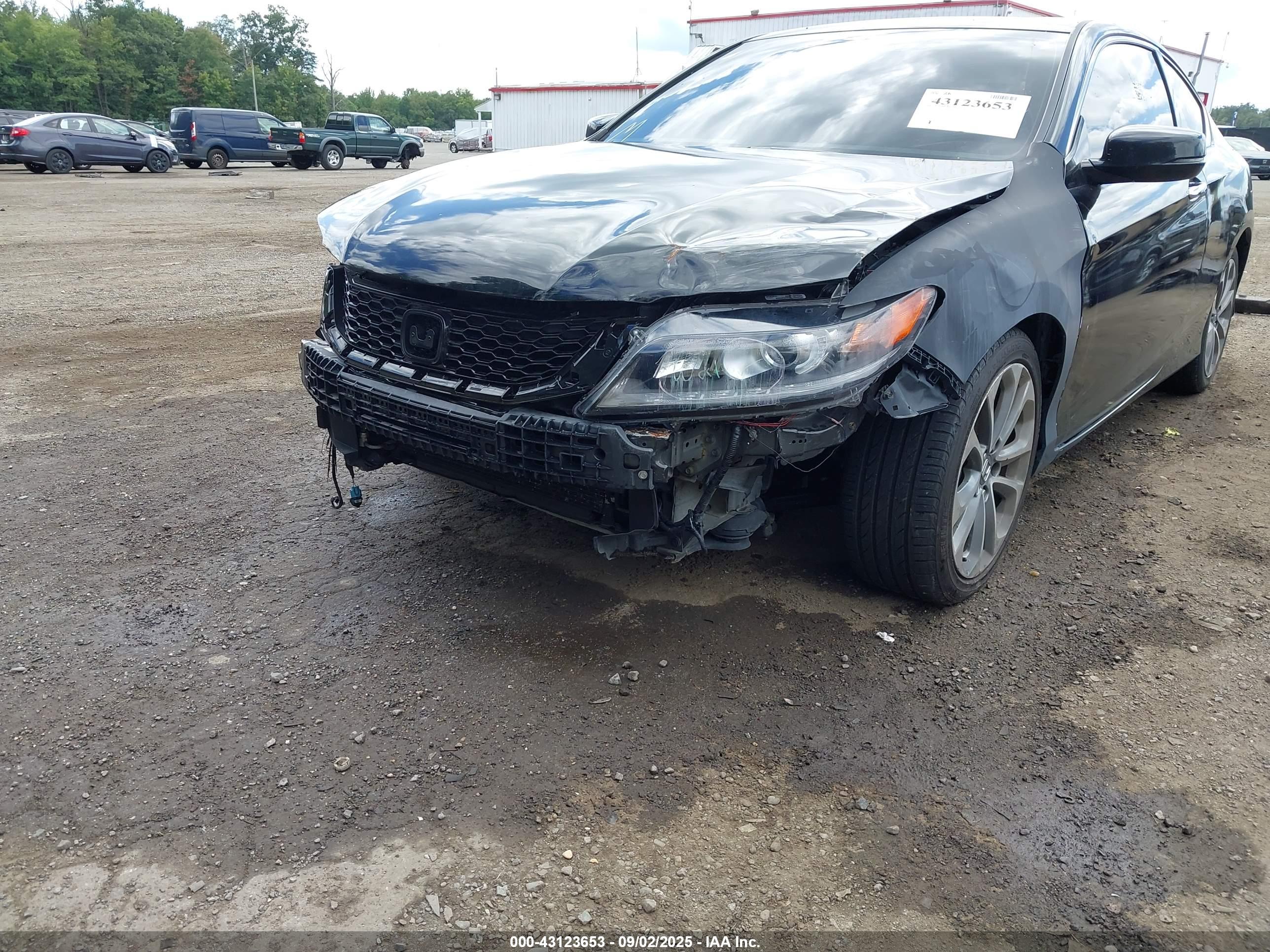 HONDA ACCORD image 6