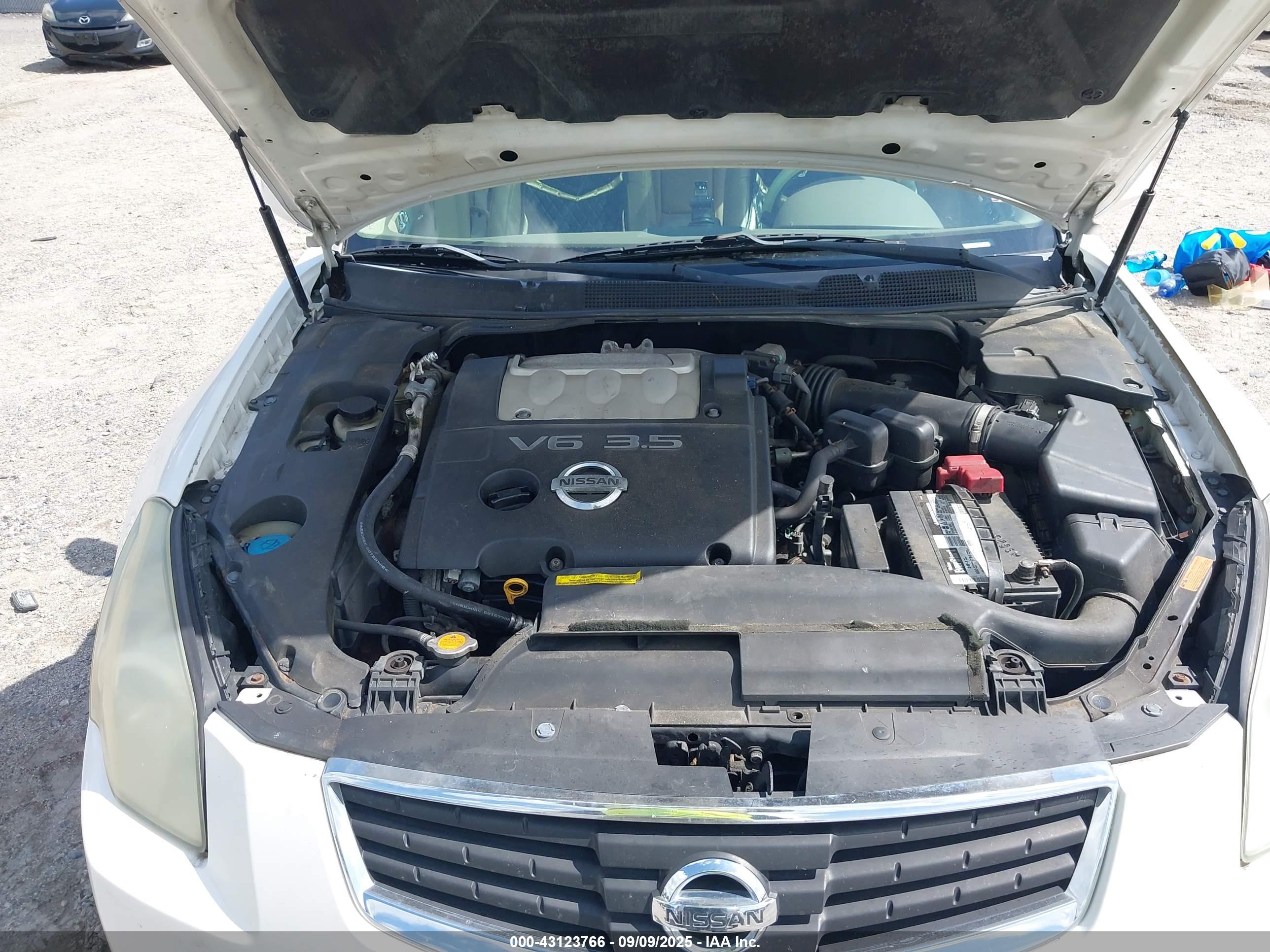 NISSAN MAXIMA image 10