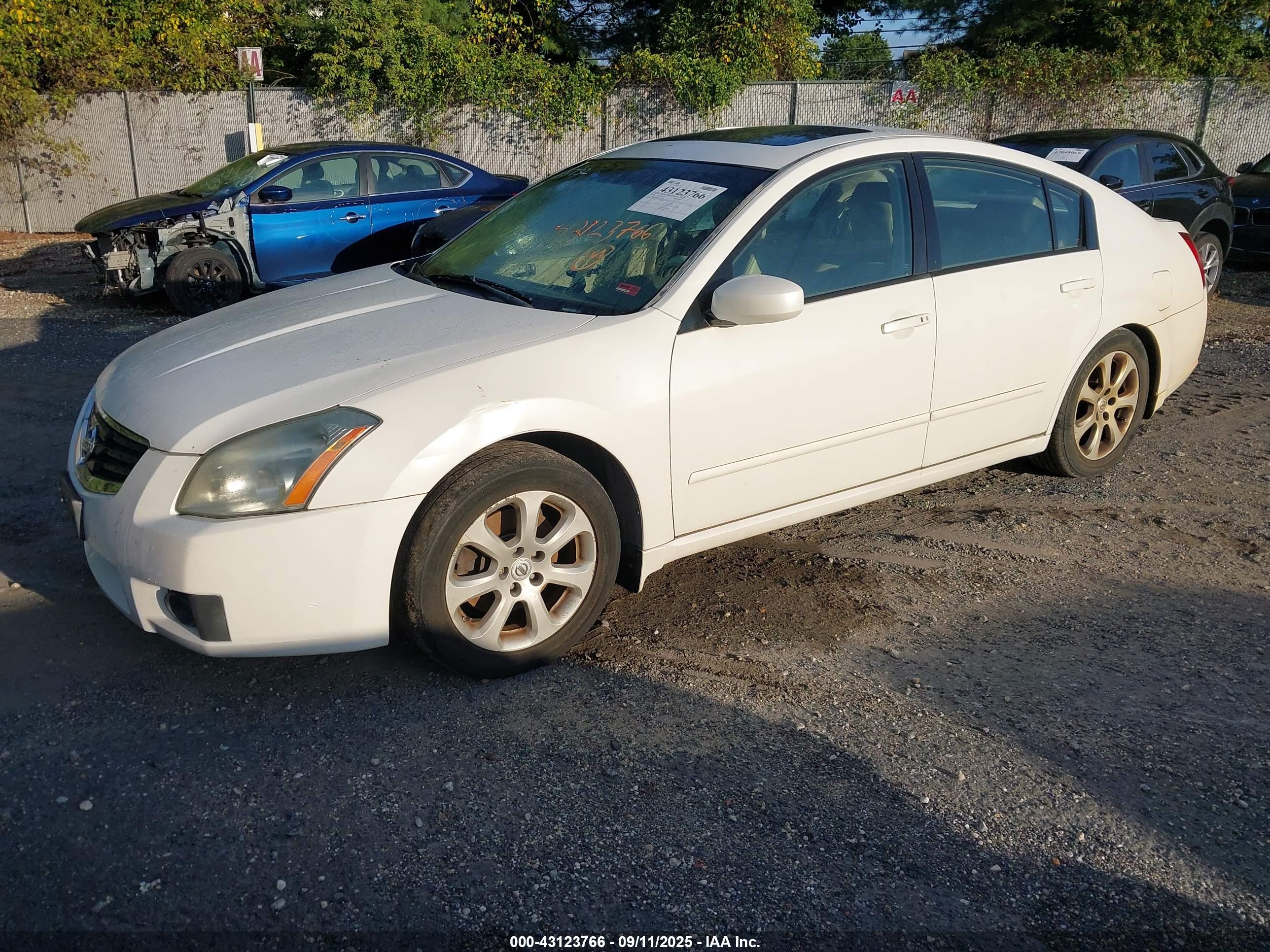 NISSAN MAXIMA image 2