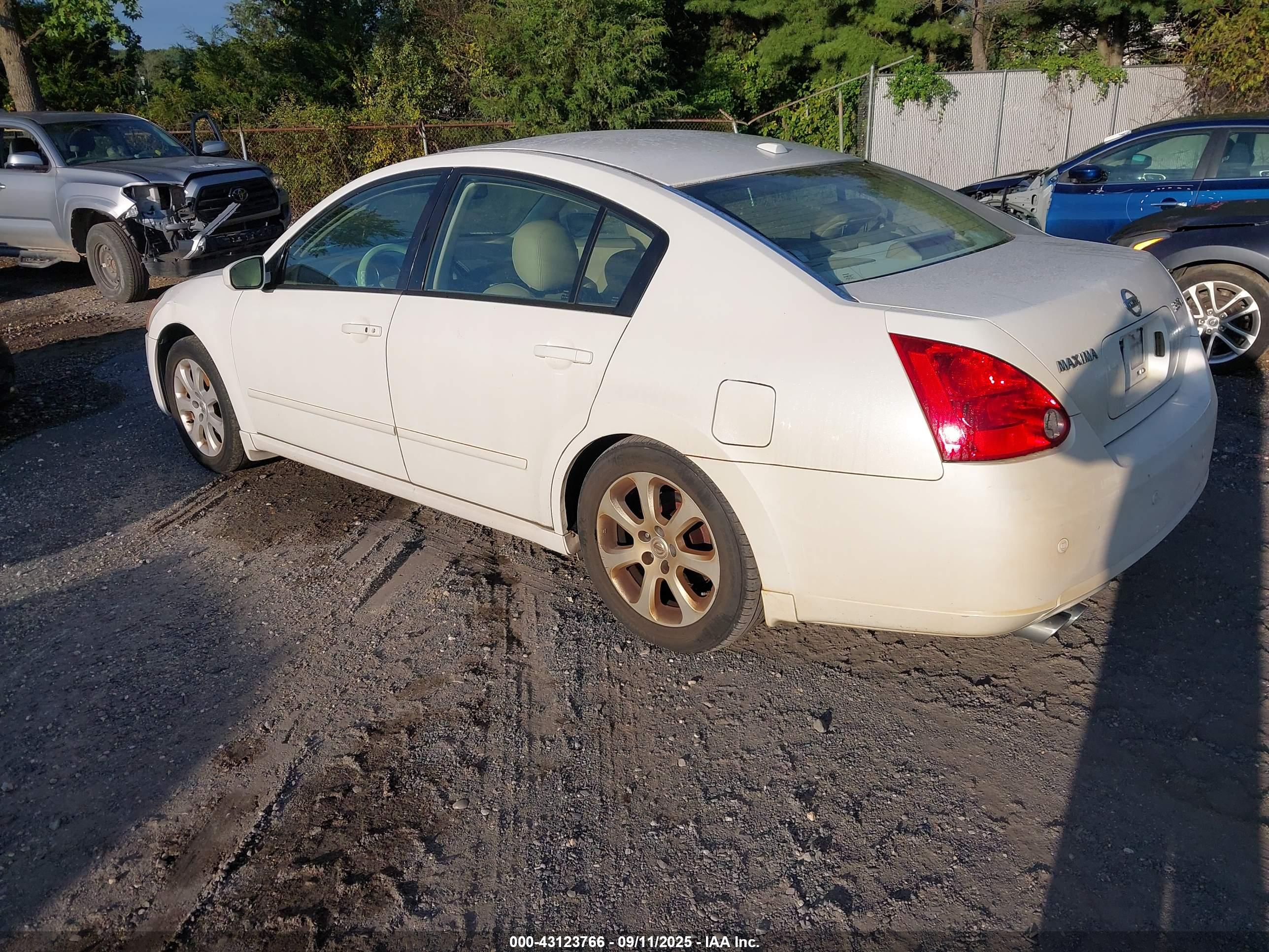 NISSAN MAXIMA image 3
